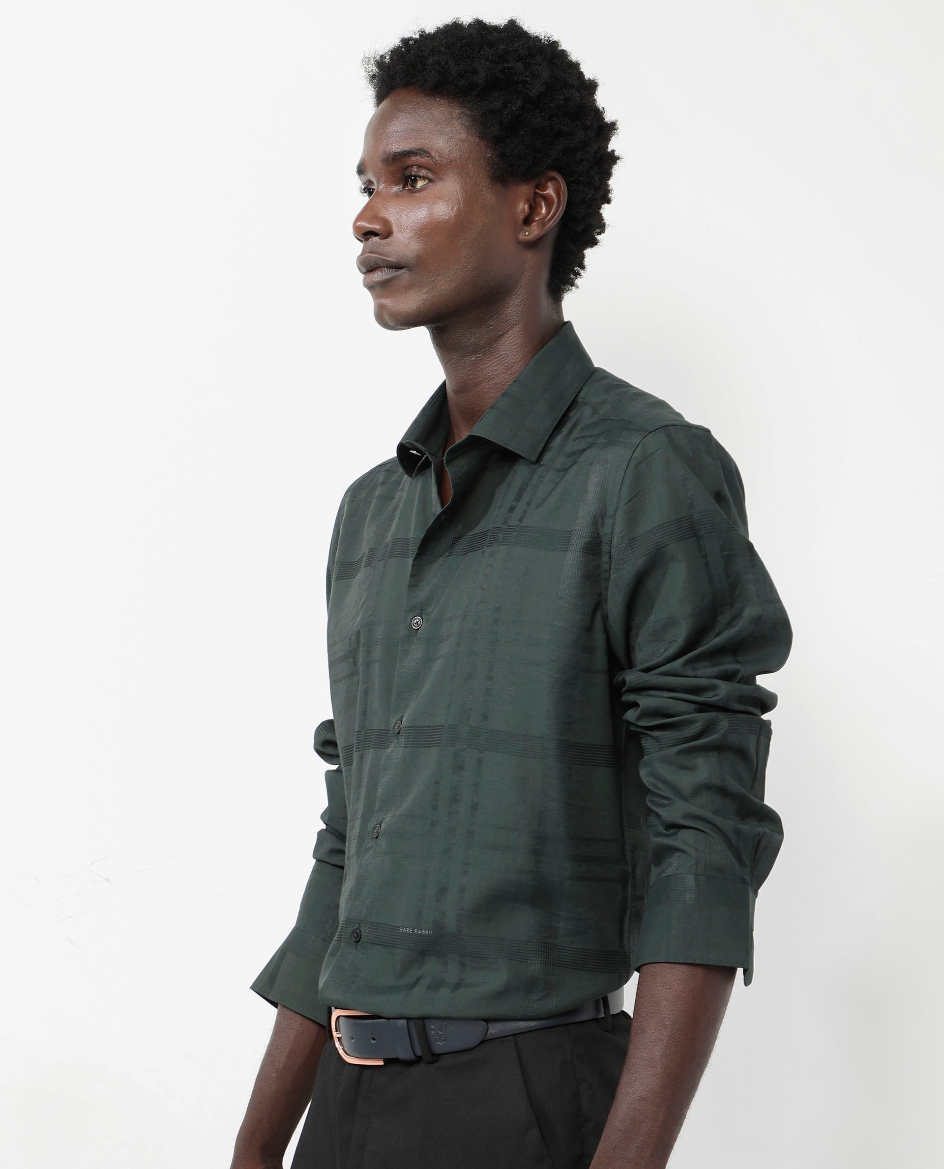 Rare Rabbit Men's Jerdo Green Viscose Nylon Fabric Full Sleeves Regular Fit Checked Shirt