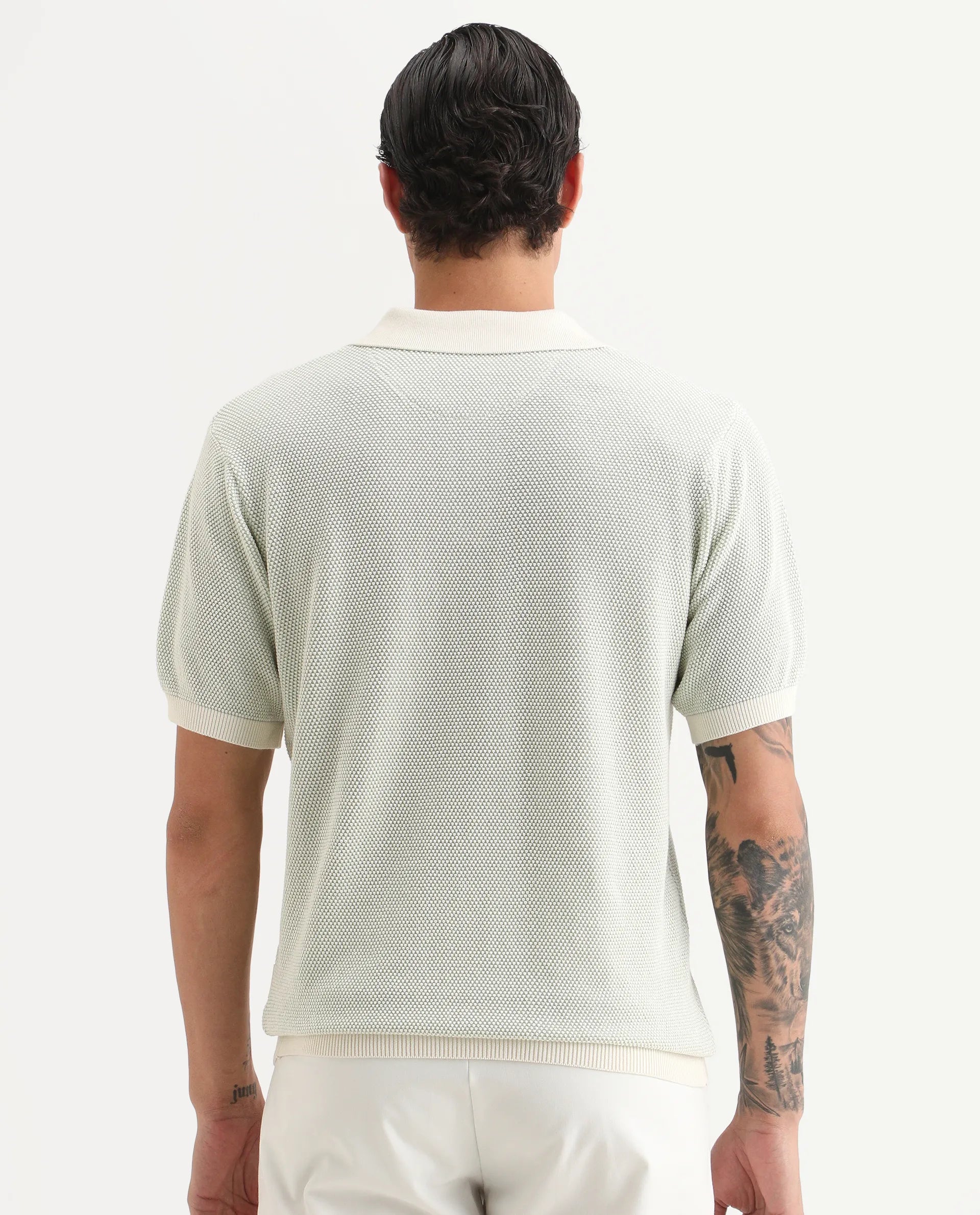 Rare Rabbit Men's Jordan Pastel Green Cotton Fabric Full Sleeve Regular Fit Textured Polo