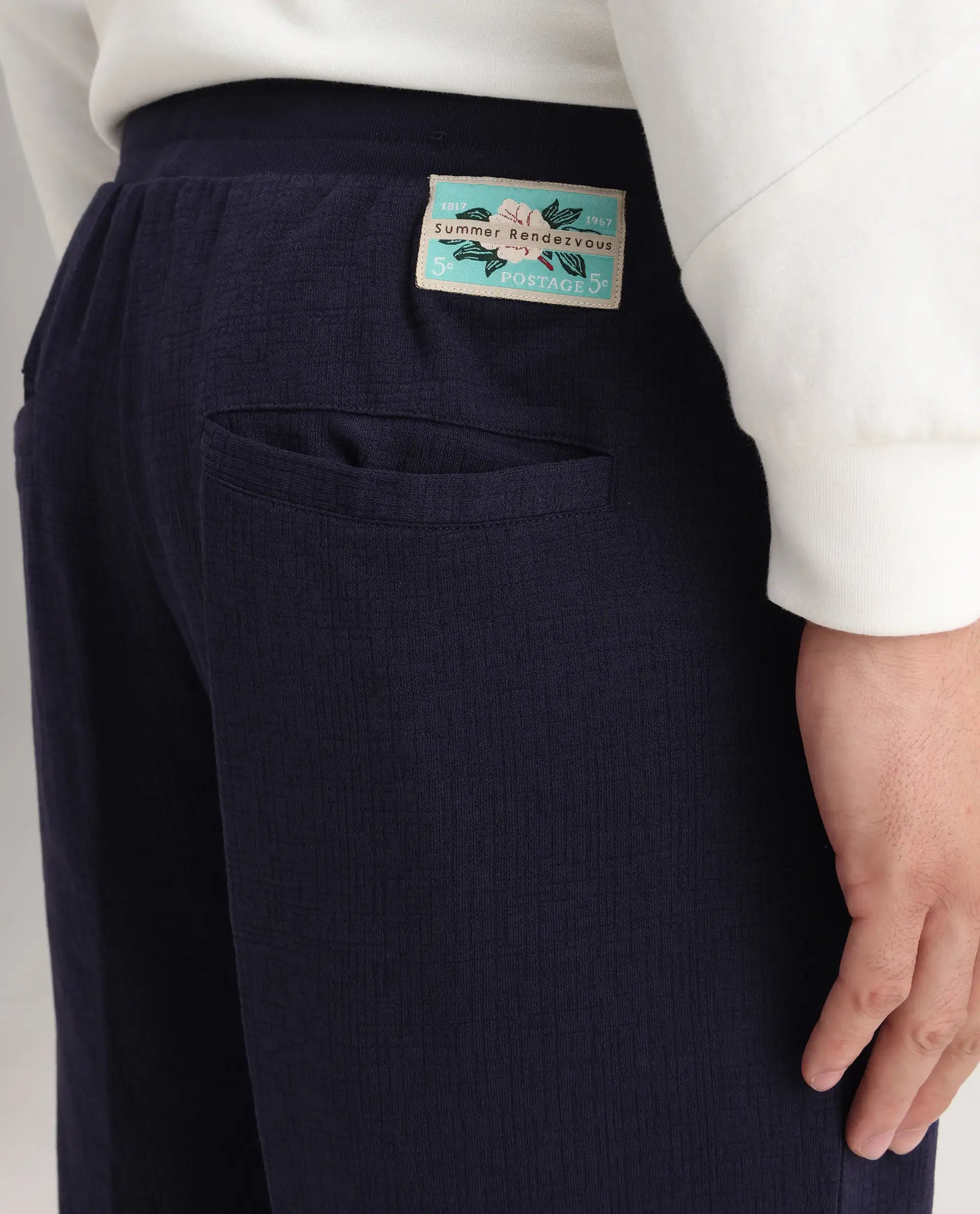 Rare Rabbit Men's Kelo Dark Purple Cotton Blend Plain Regular Fit Trouser