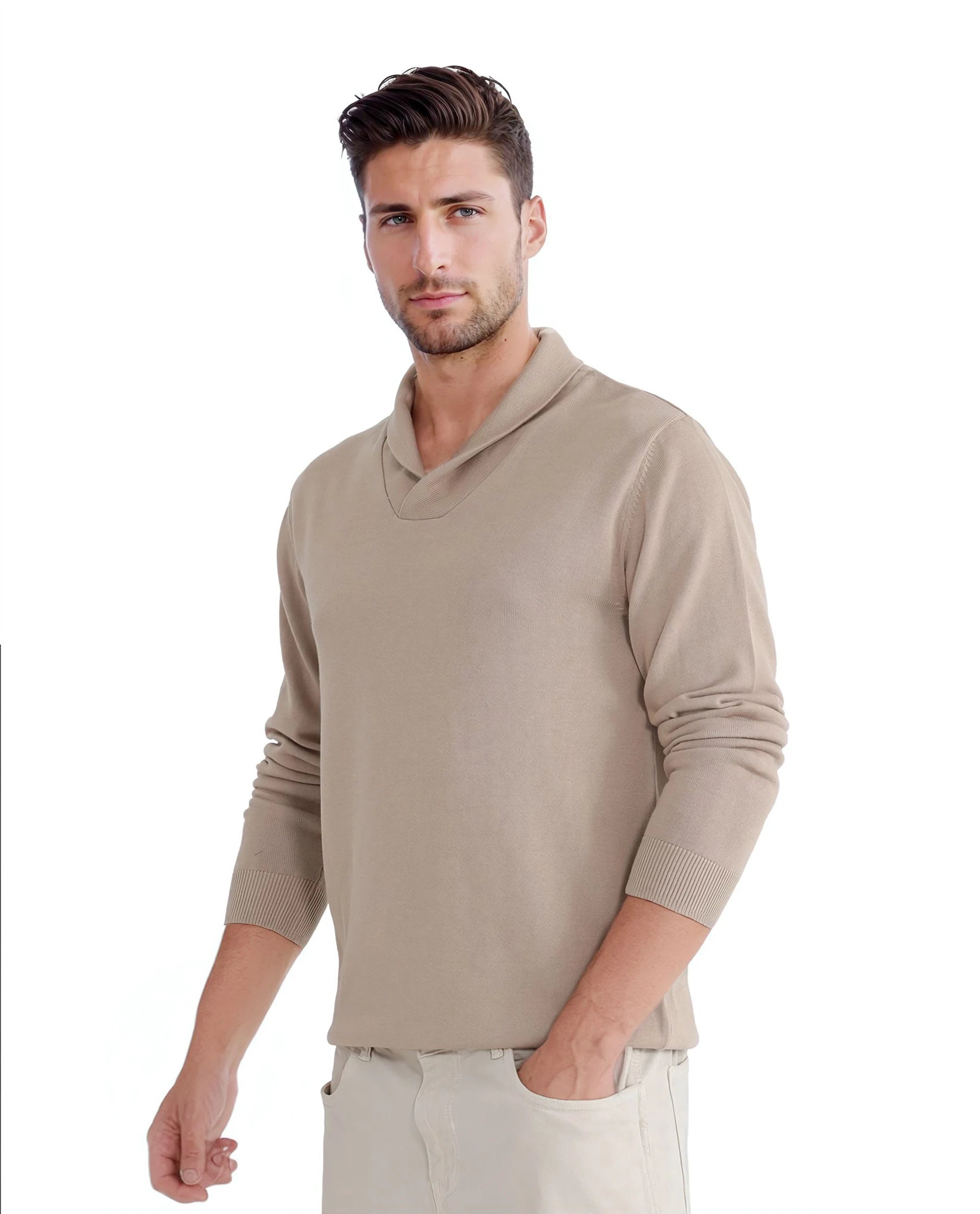 Rare Rabbit Men's Kenlay Beige Full Sleeve Collarless Regular Fit Plain Sweater