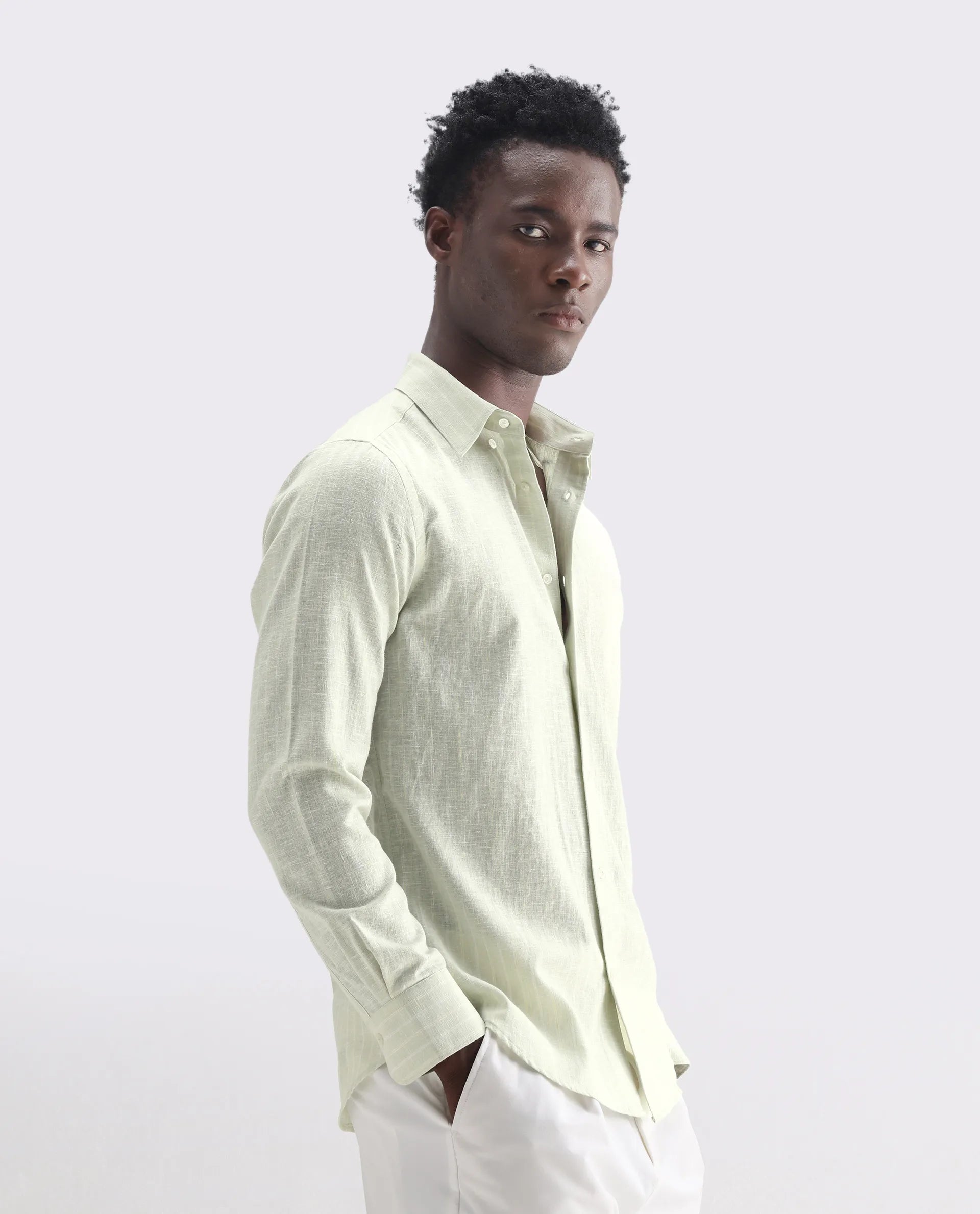 Rare Rabbit Men's Kylo Sage 100% Linen Striped Print Regular Fit Full Sleeve Collared Shirt