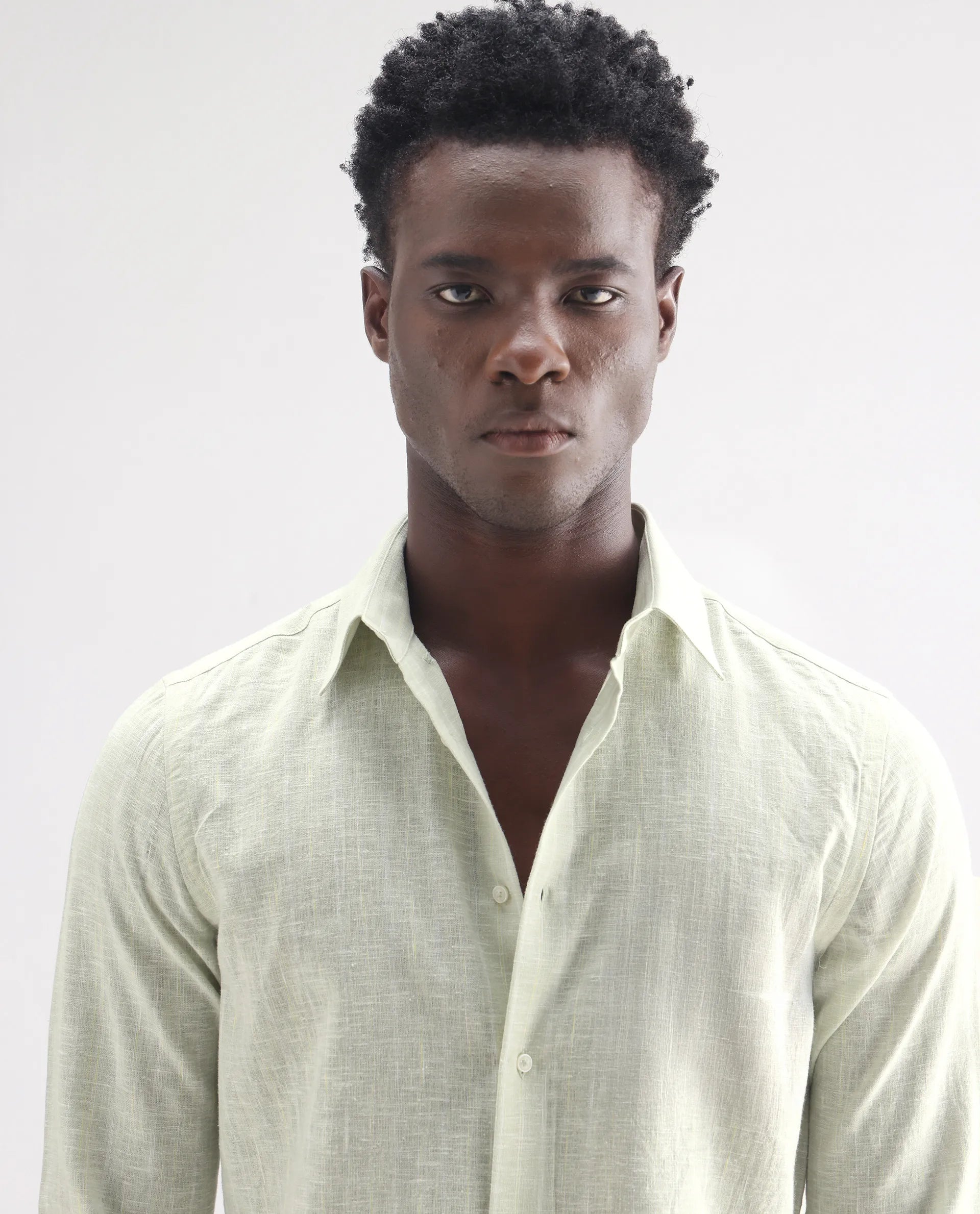 Rare Rabbit Men's Kylo Sage 100% Linen Striped Print Regular Fit Full Sleeve Collared Shirt