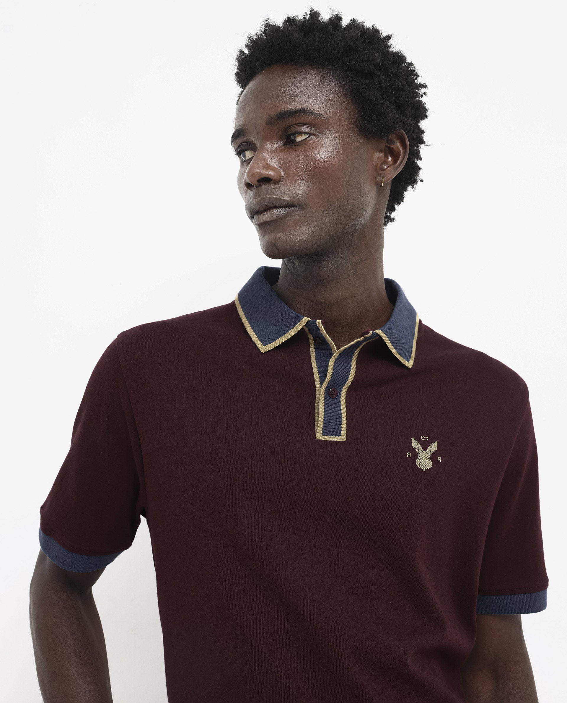 Rare Rabbit Men's Lark Dark Maroon Contrasting Collar And Half Sleeves Regular Fit Plain Knitted Polo T-Shirt