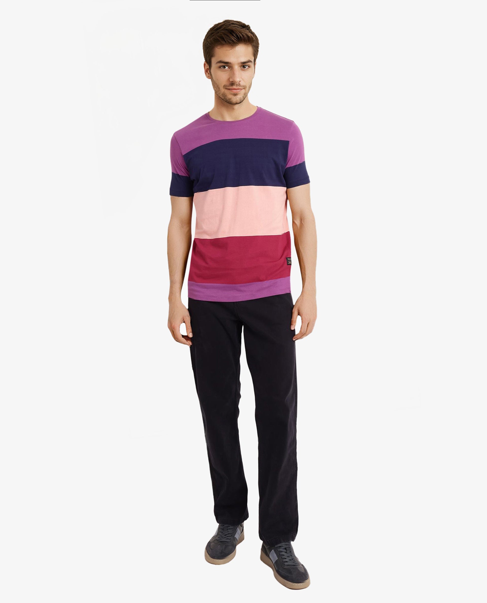 Rare Rabbit Men's Lemars Purple Cotton Fabric Crew Neck Half Sleeves Slim Fit Colorblock Stripe T-Shirt