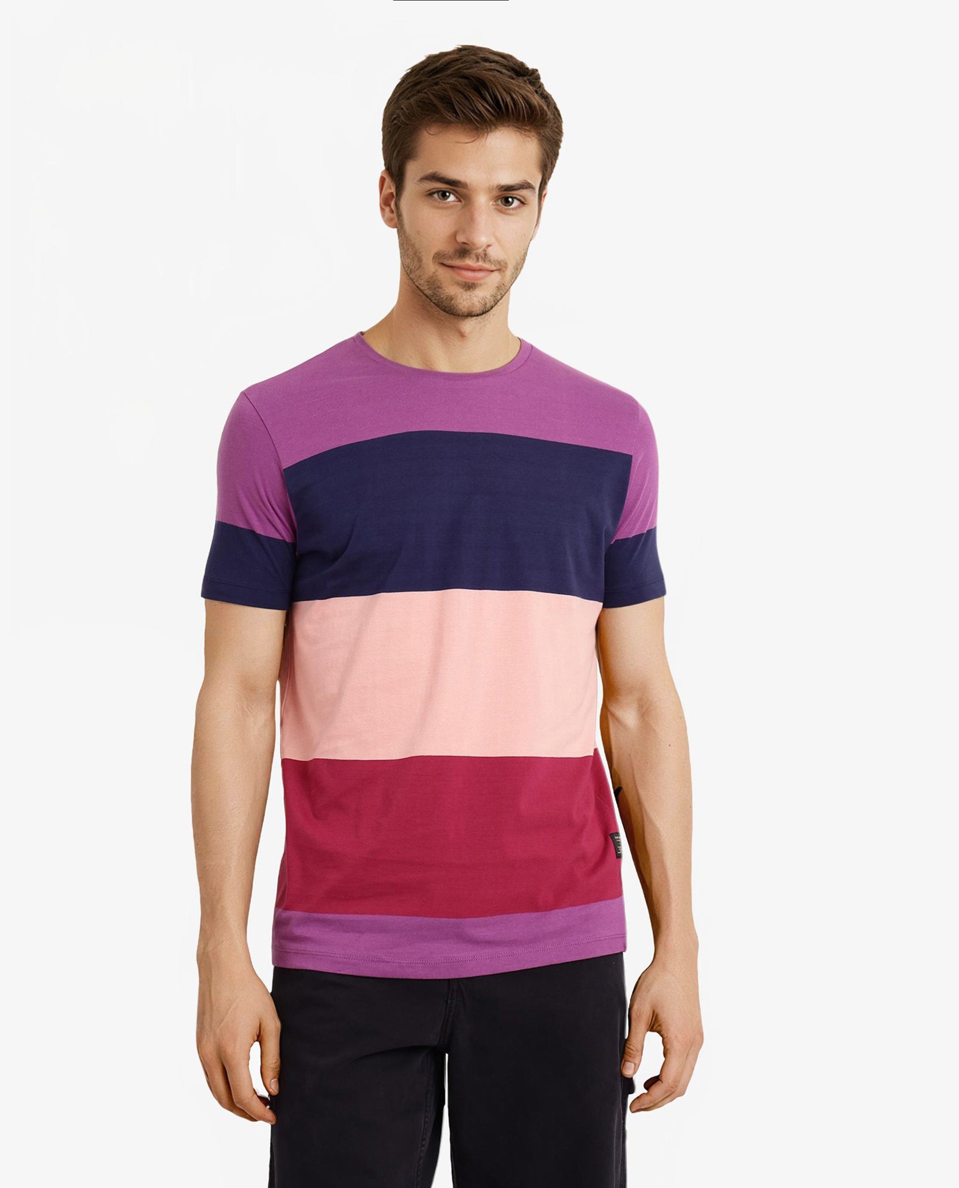Rare Rabbit Men's Lemars Purple Cotton Fabric Crew Neck Half Sleeves Slim Fit Colorblock Stripe T-Shirt