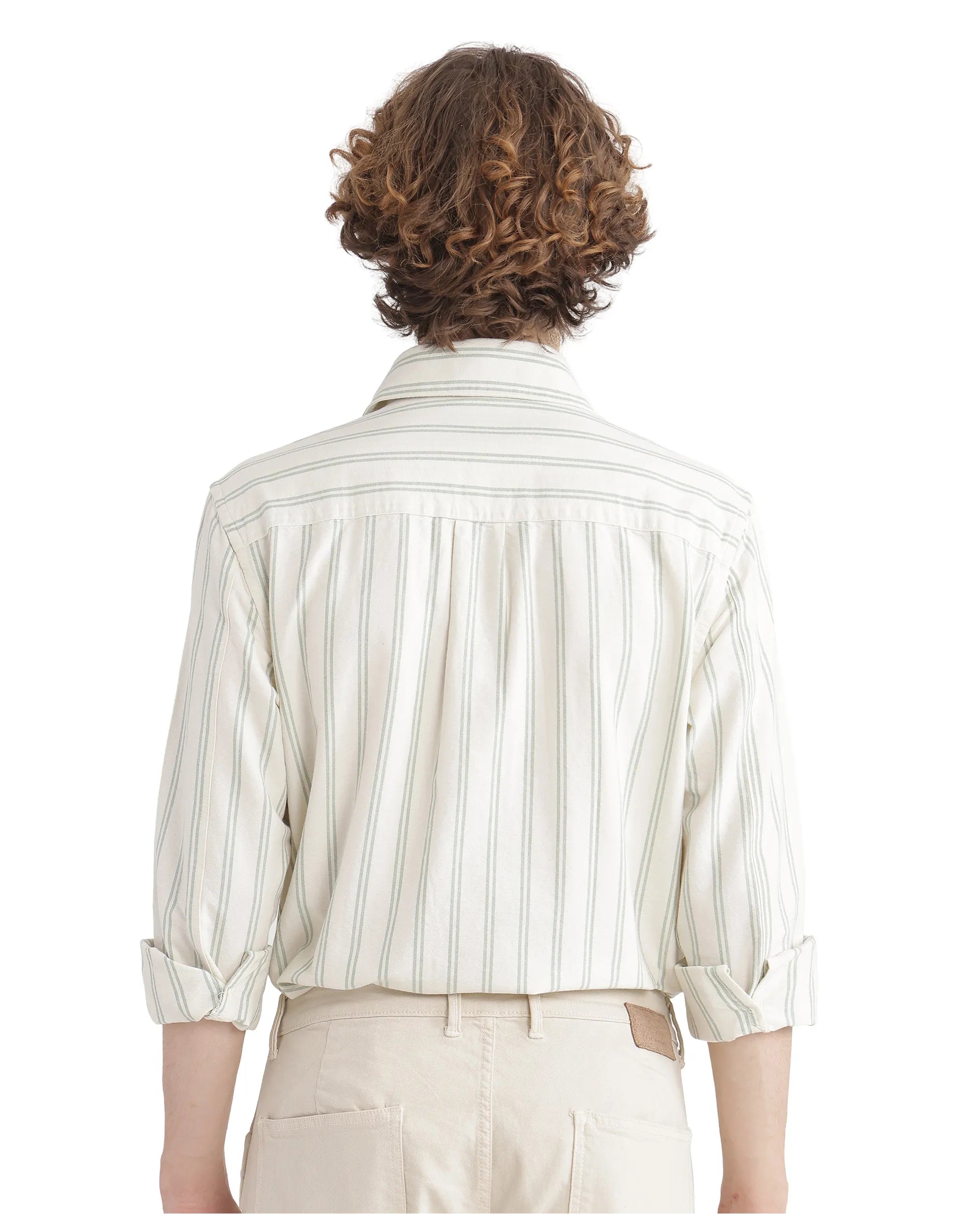 Rare Rabbit Men's Lorw Pastel Green Cotton Fabric Full Sleeve Collared Neck Button Closure Striped Shirt