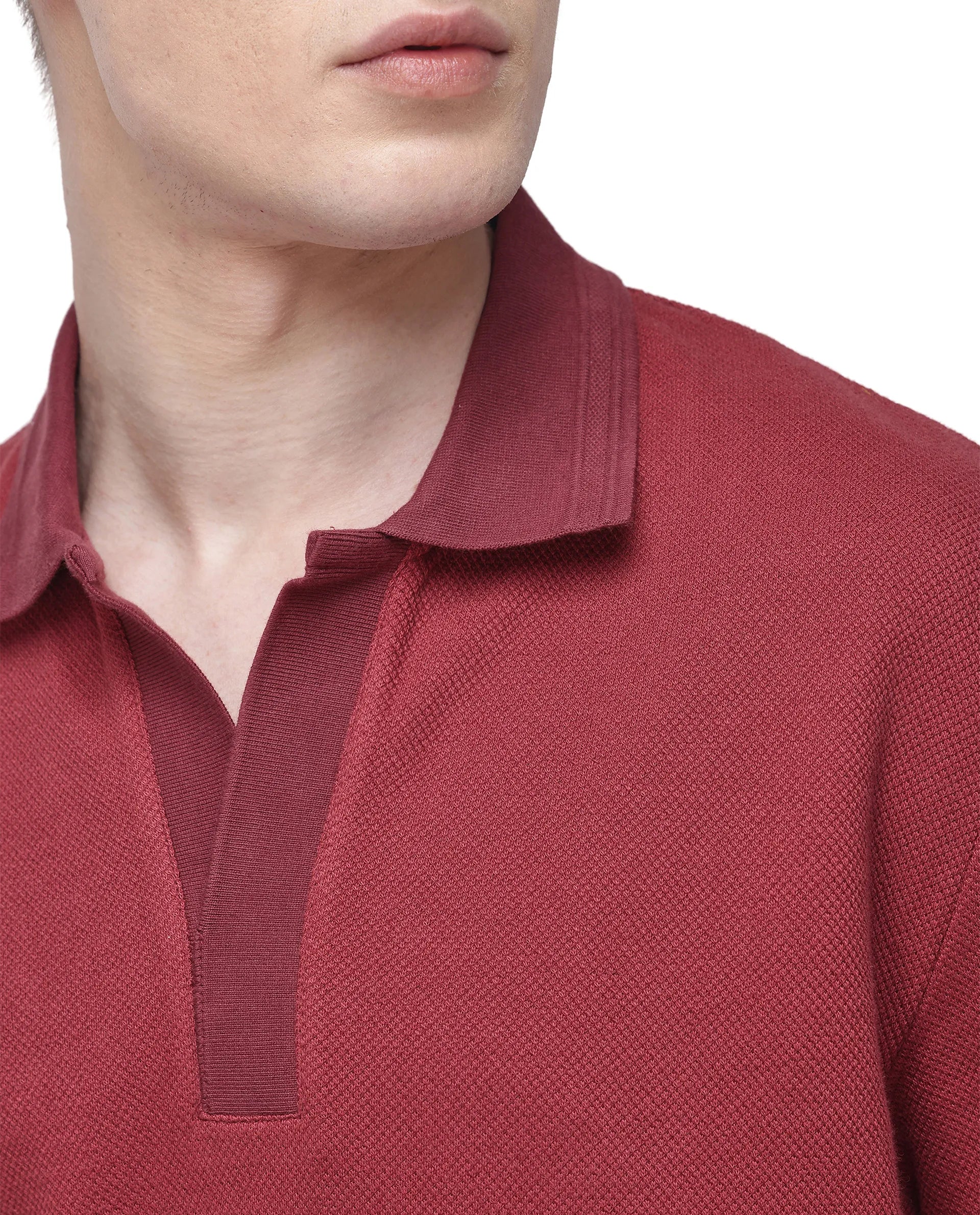 Rare Rabbit Men's Marcelon Red Cotton Blend Jacquard Regular Fit Half Sleeve Polo