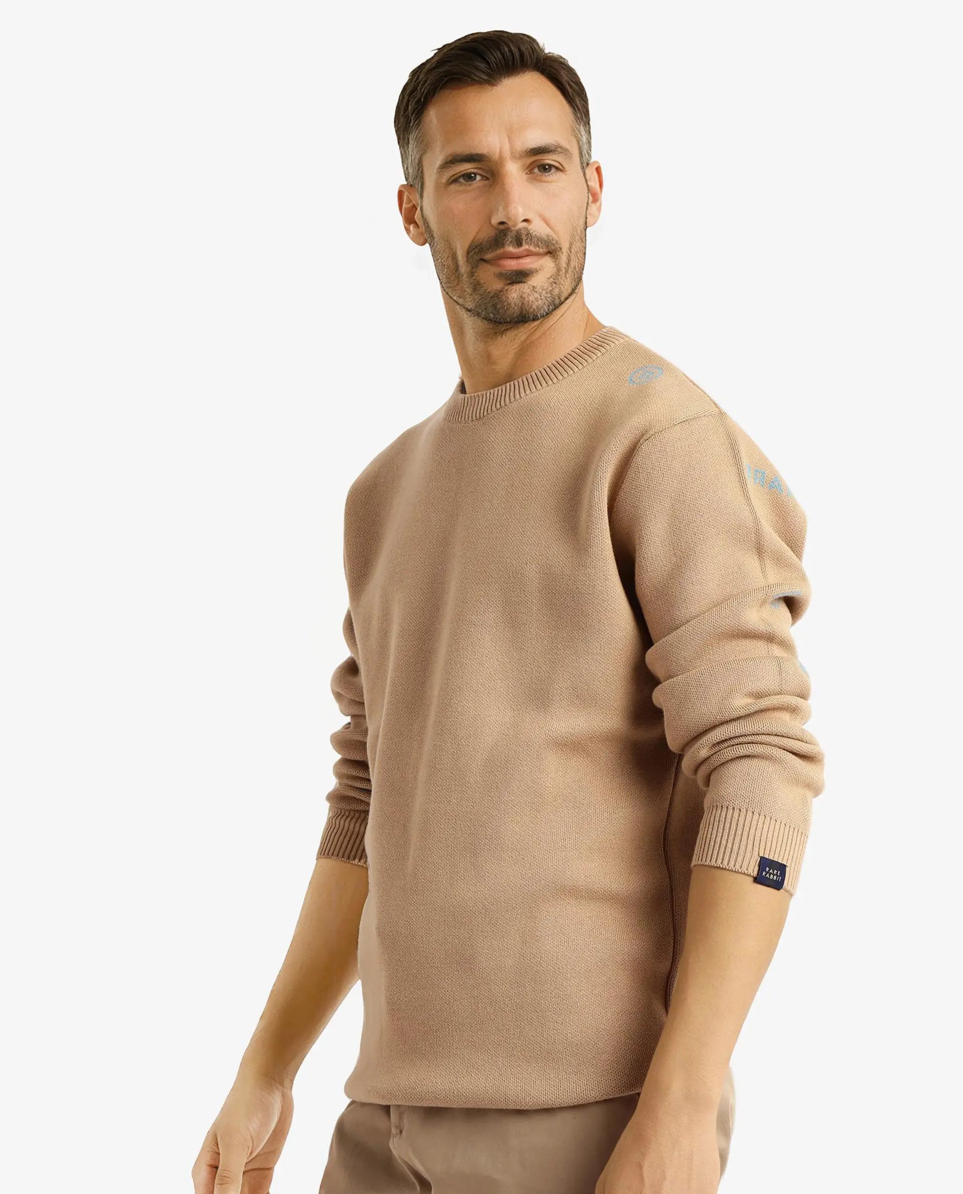 Rare Rabbit Men's Mario Beige Cotton Fabric Full Sleeve Crew Neck Jacquard Sweater