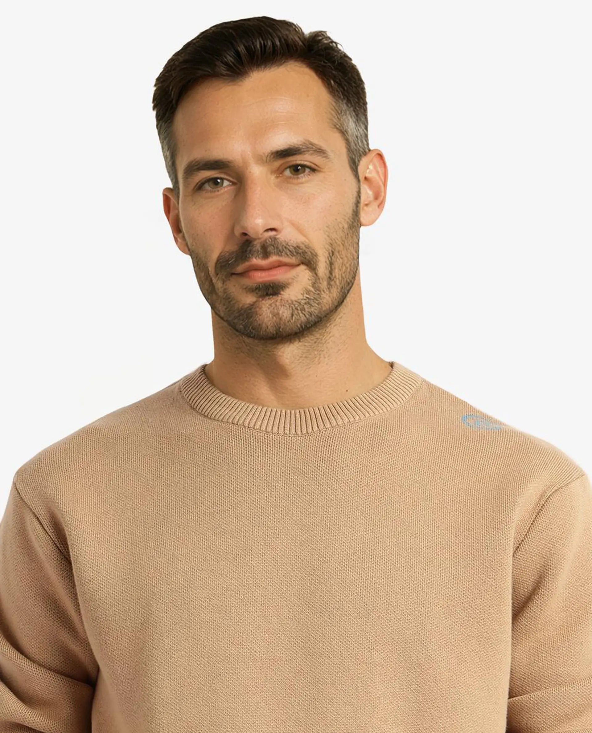 Rare Rabbit Men's Mario Beige Cotton Fabric Full Sleeve Crew Neck Jacquard Sweater