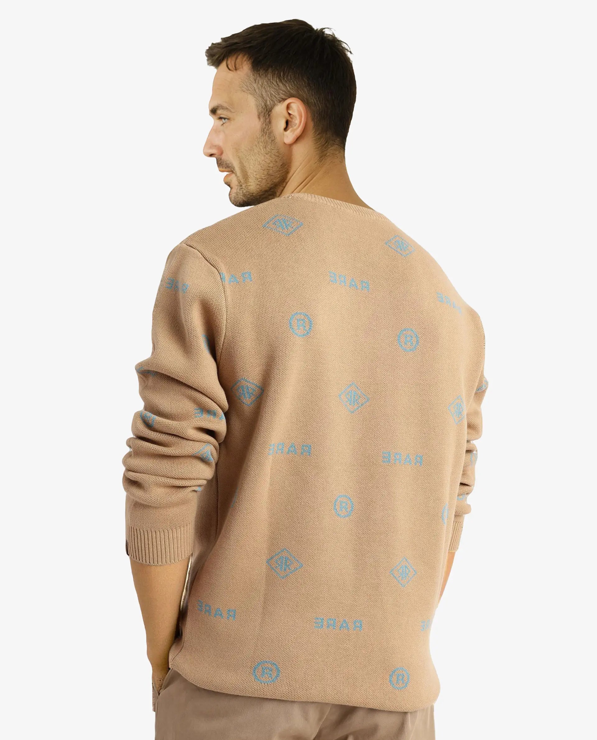 Rare Rabbit Men's Mario Beige Cotton Fabric Full Sleeve Crew Neck Jacquard Sweater