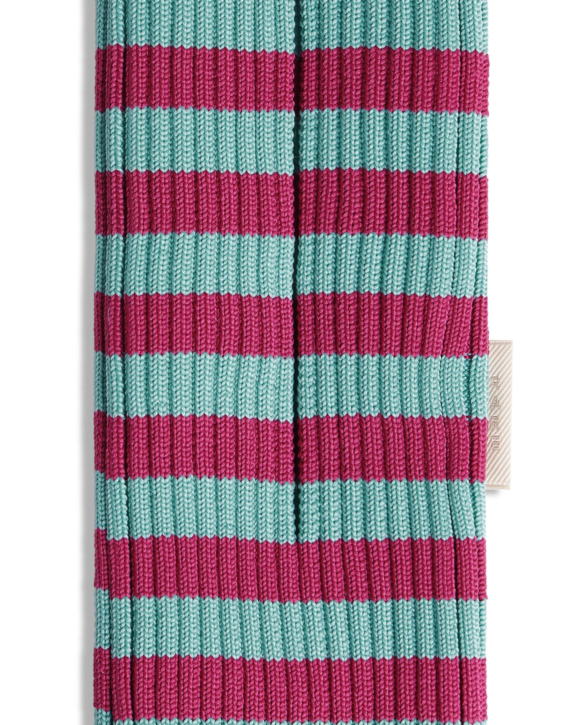 Rareism Women's Mobile Pouch Fluorescent Aqua Polyester   Striped Mobile Pouches