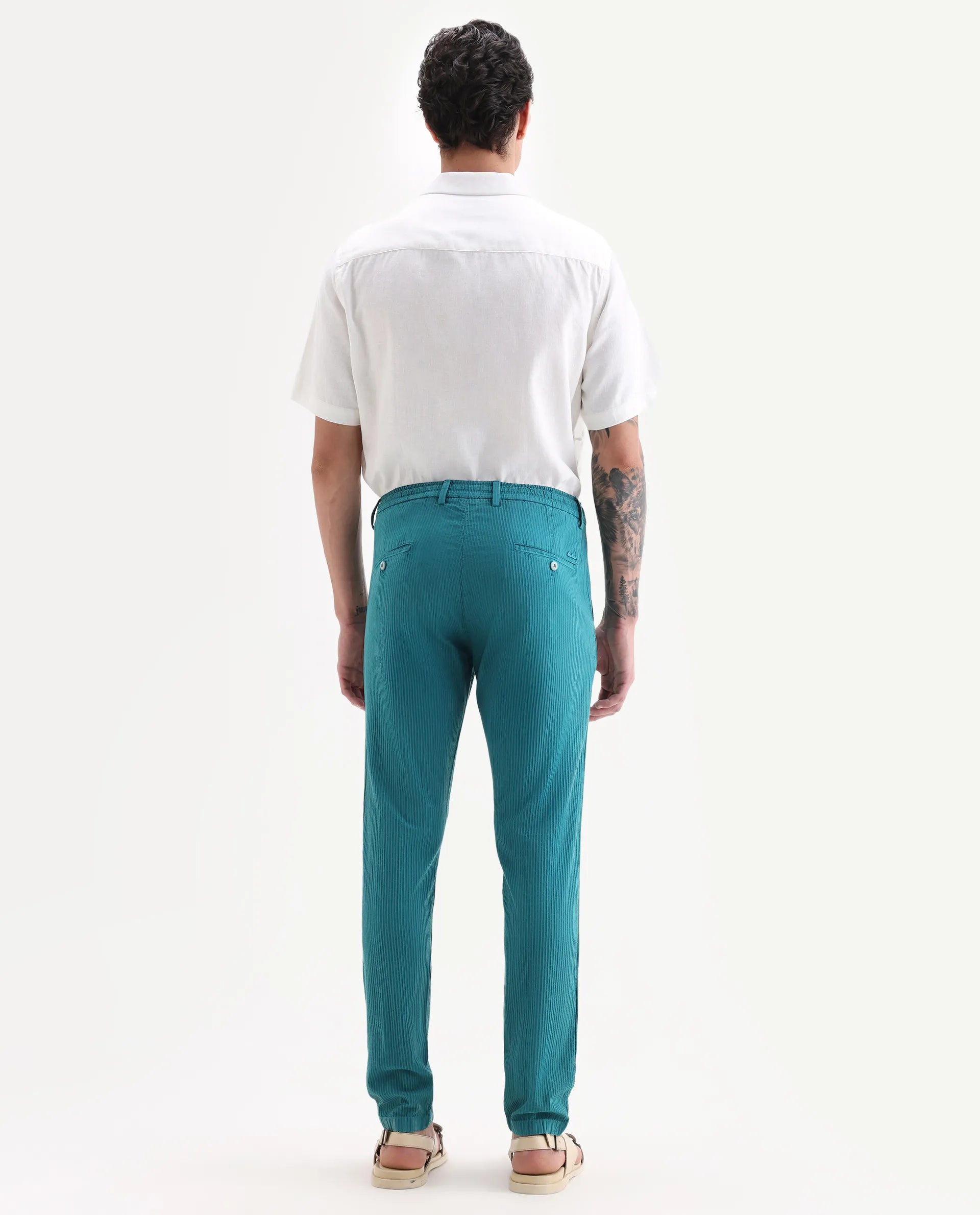 Rare Rabbit Men's Monter Green Cotton Striped Print Regular Fit Trouser