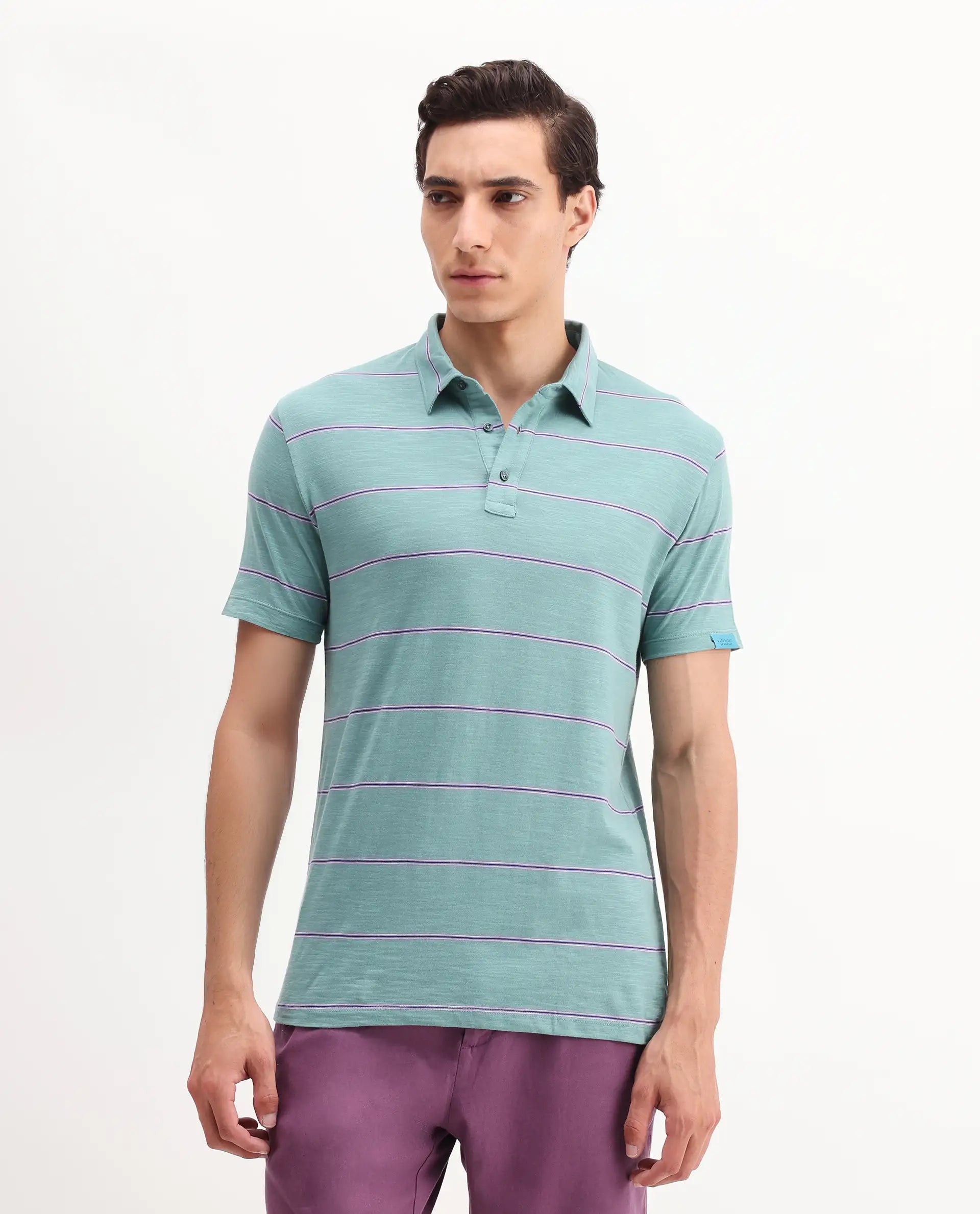 Rare Rabbit Men's Neonss Green Cotton Striped Print Regular Fit Half Sleeve Polo