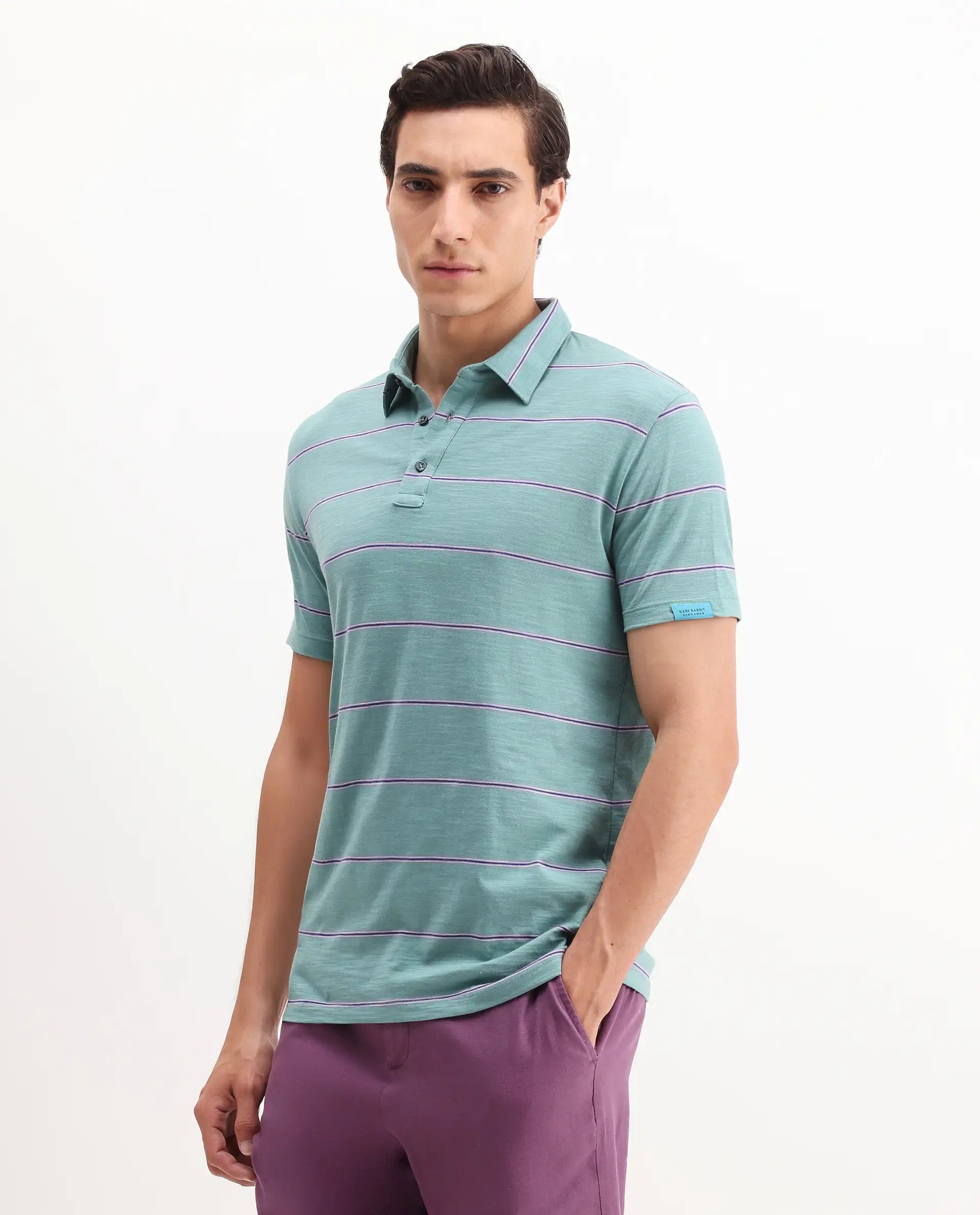 Rare Rabbit Men's Neonss Green Cotton Striped Print Regular Fit Half Sleeve Polo