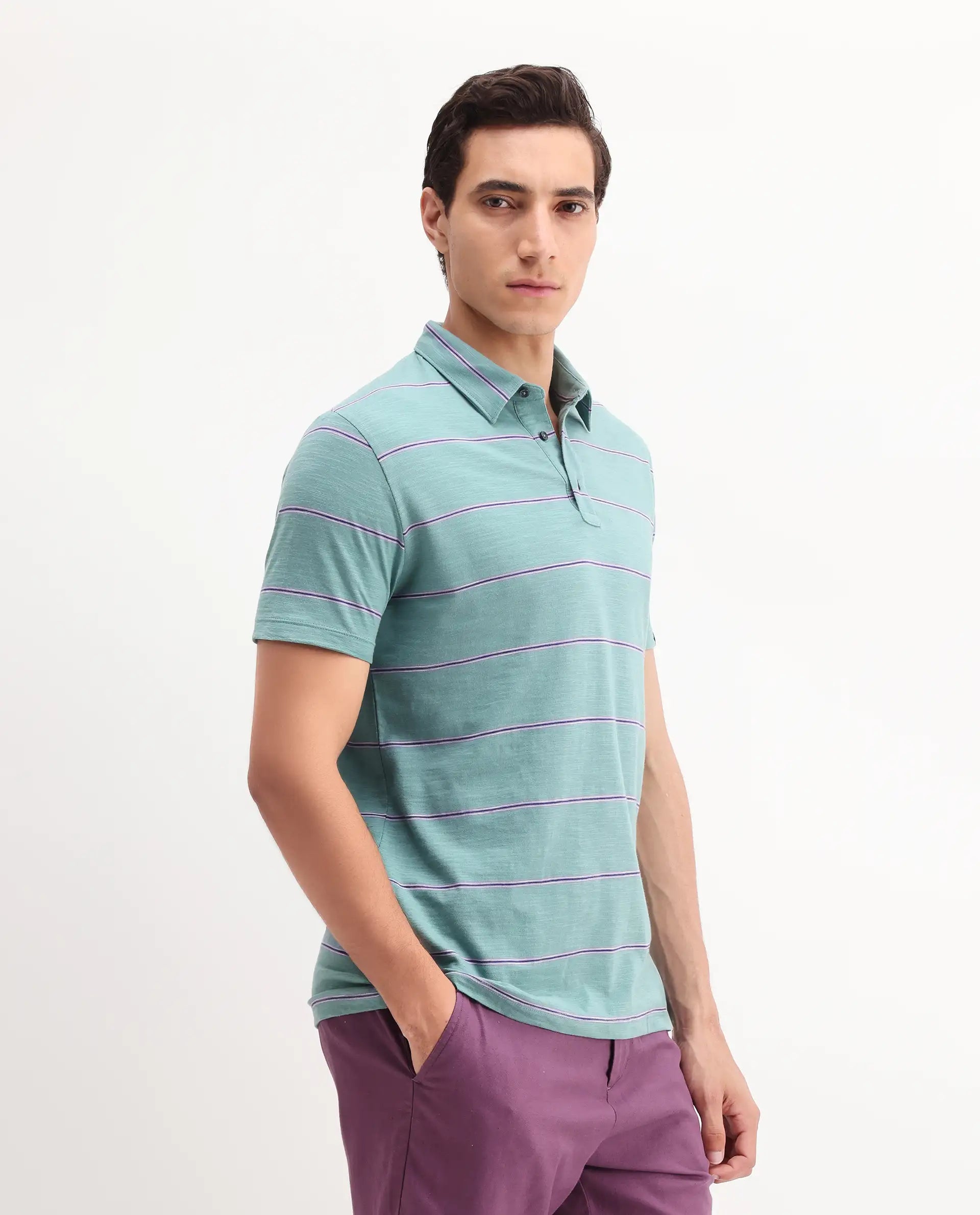 Rare Rabbit Men's Neonss Green Cotton Striped Print Regular Fit Half Sleeve Polo