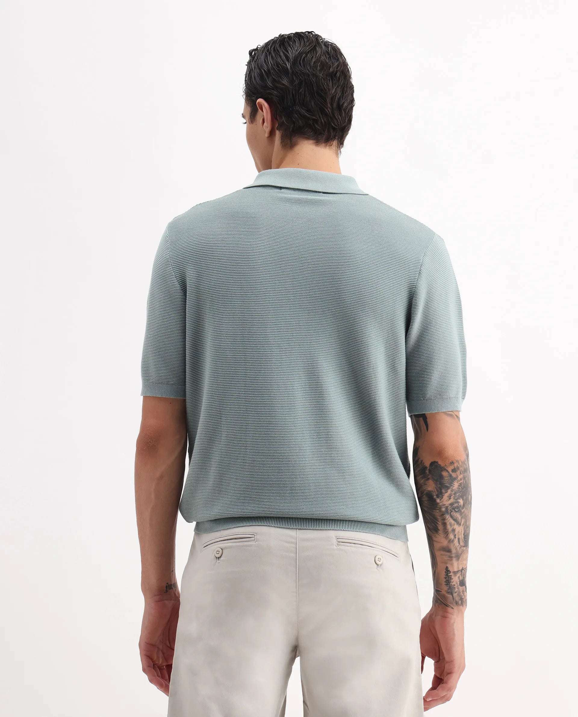 Rare Rabbit Men's Nett Dusky Green Cotton Plain Regular Fit Half Sleeve Polo