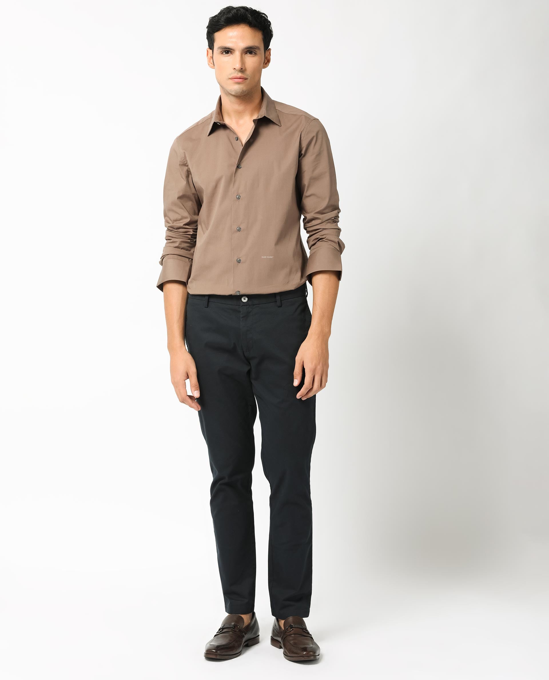 Rare Rabbit Men's Neutonss Brown Full Sleeve Collared Neck Regular Fit Plain Formal Shirt