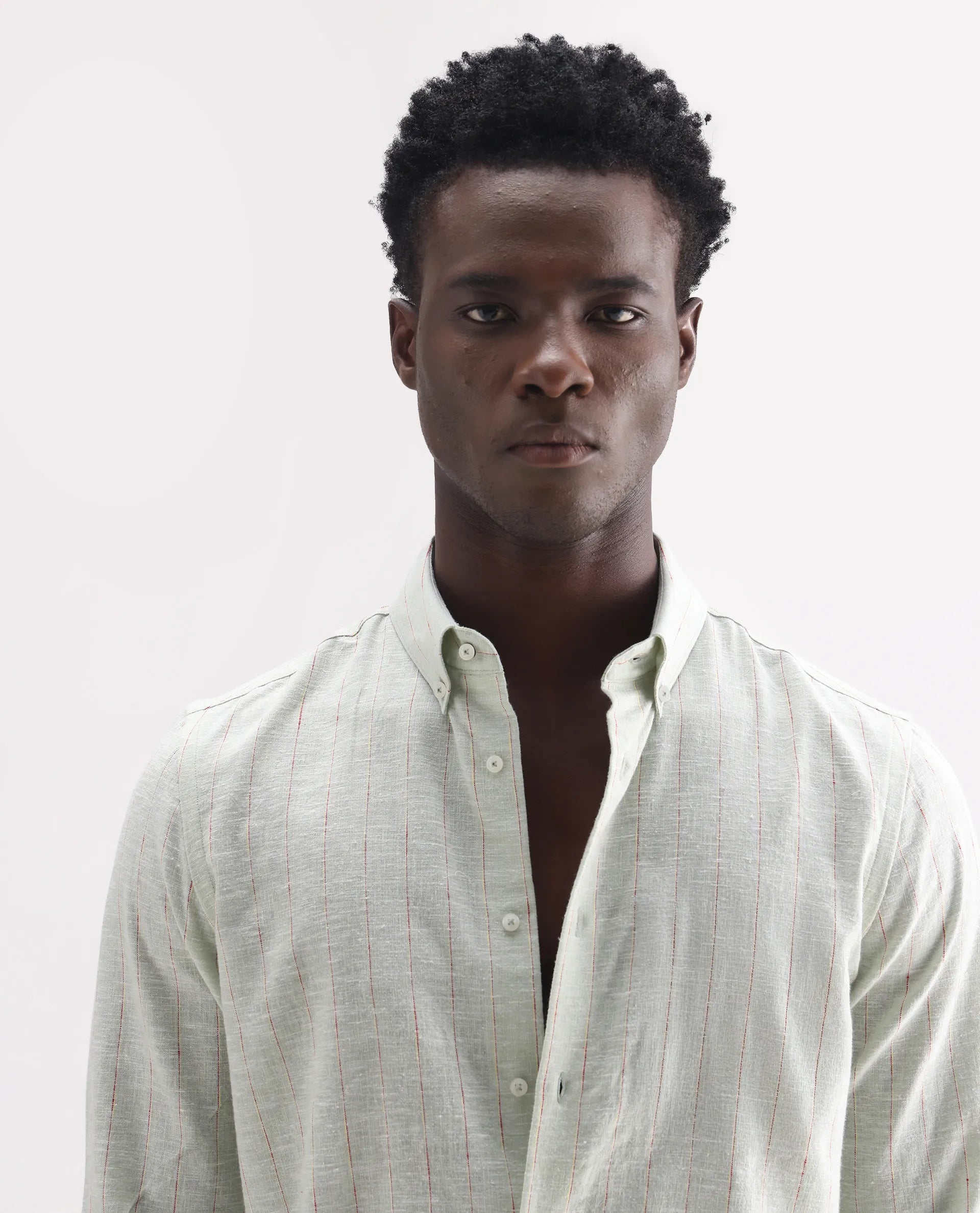 Rare Rabbit Men's Opis Sage Linen Blend Striped Print Regular Fit Full Sleeve Collared Shirt