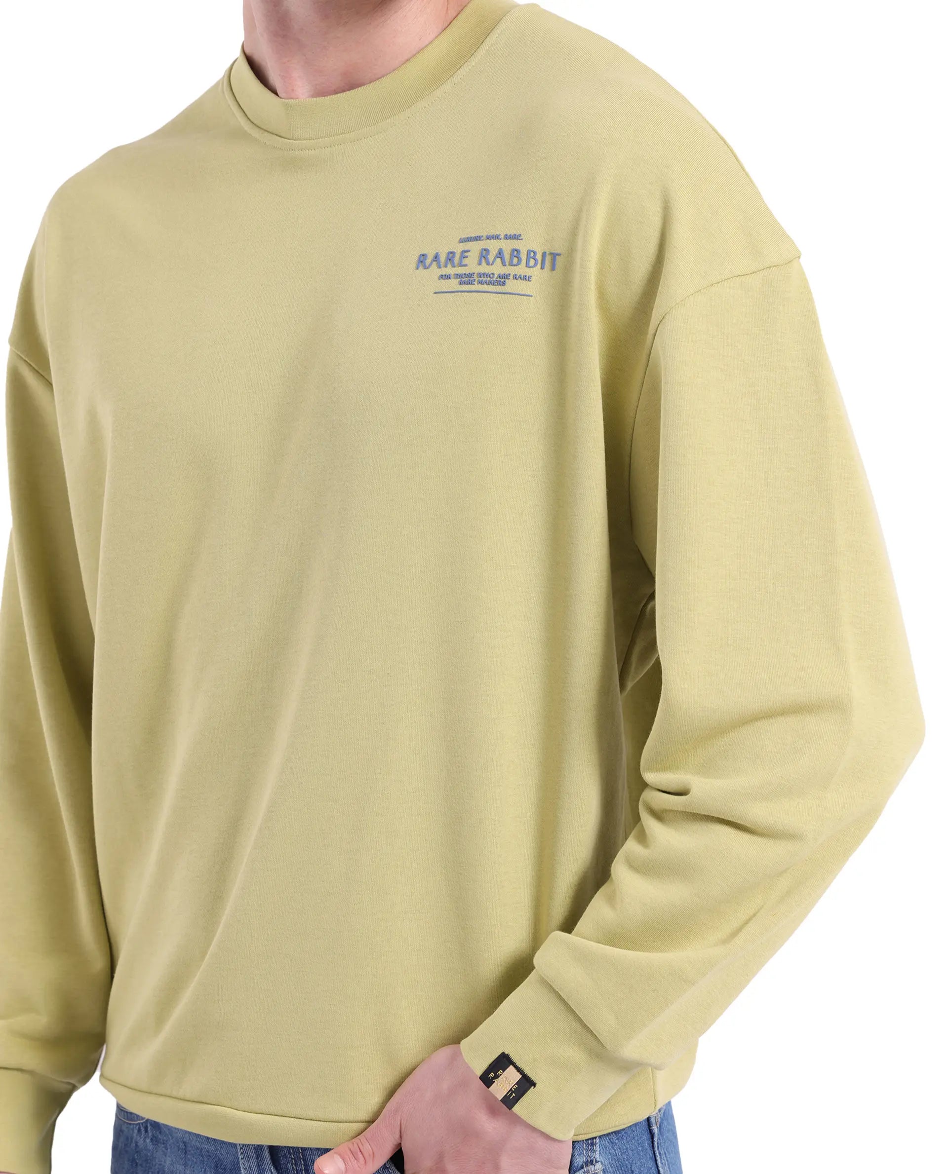 Rare Rabbit Men's Ore Pastel Green Cotton Blend Fabric Full Sleeve Crew Neck Boxy Fit Printed Sweatshirt