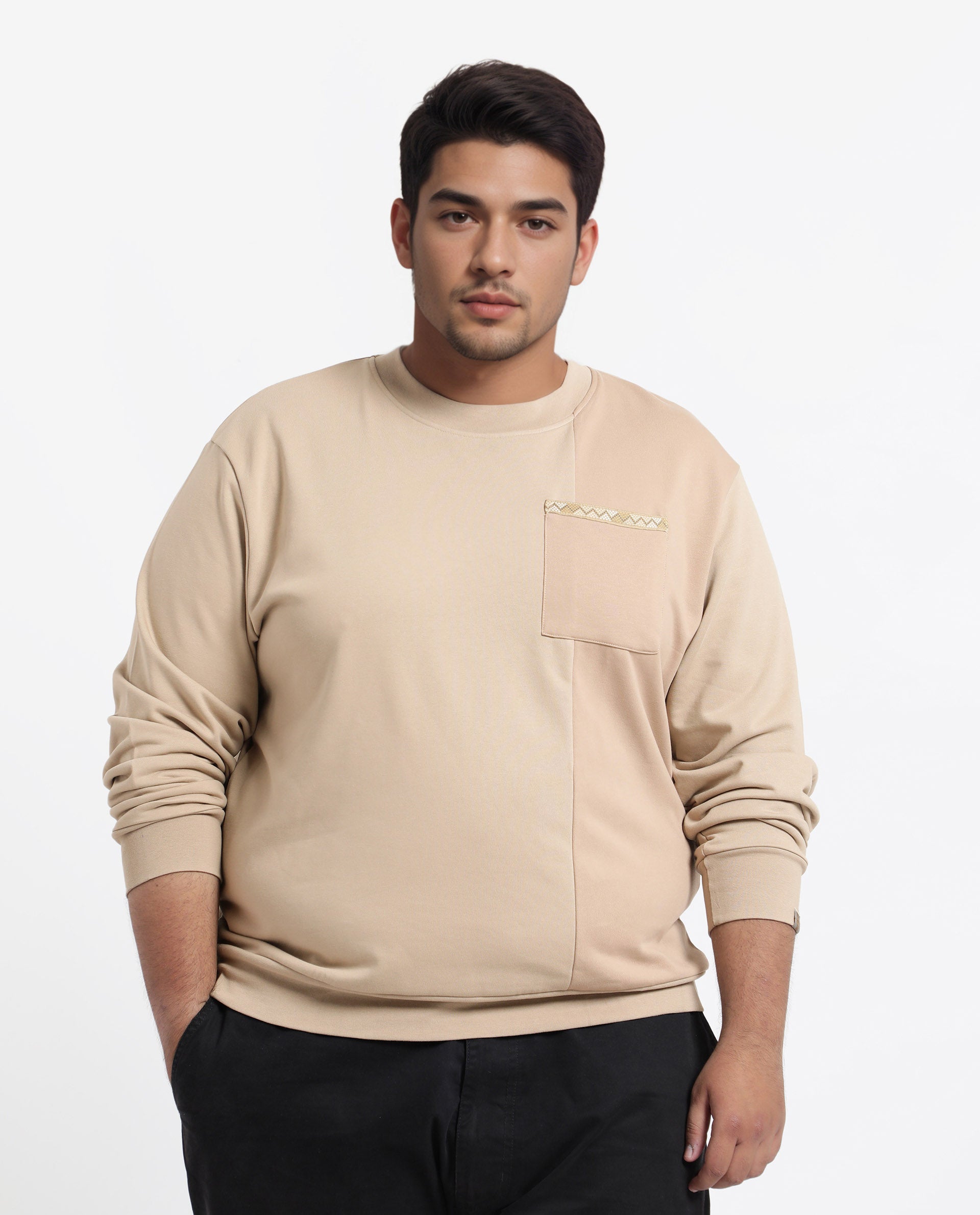 Rare Rabbit Men's Otese-L Beige Cotton Blend Cut And Sew Plus Size Full Sleeve Crew Neck Sweatshirt