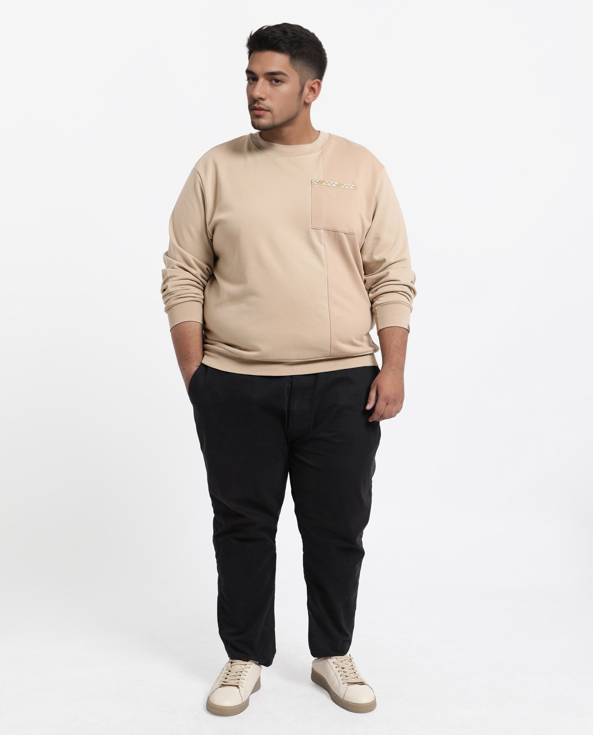 Rare Rabbit Men's Otese-L Beige Cotton Blend Cut And Sew Plus Size Full Sleeve Crew Neck Sweatshirt