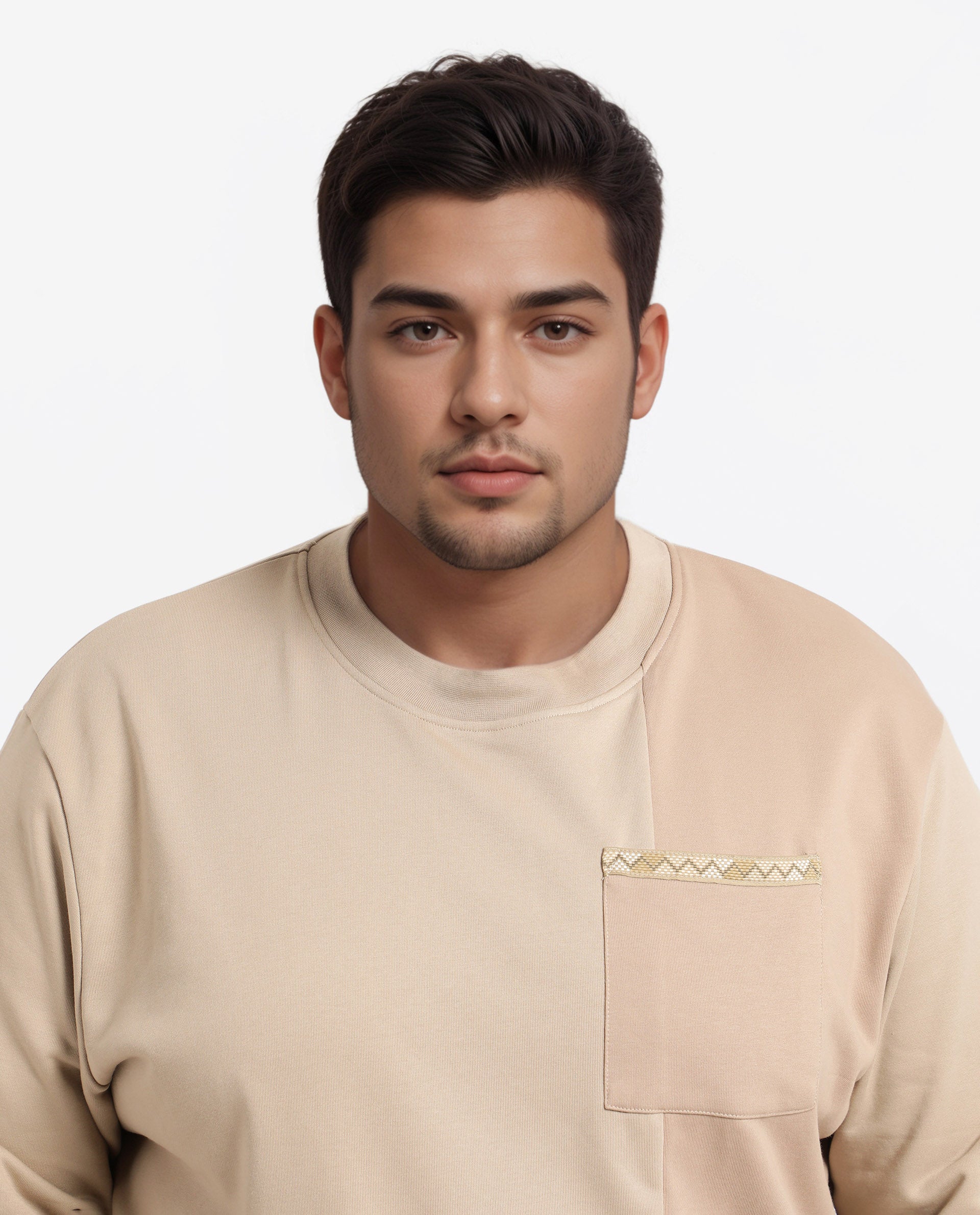 Rare Rabbit Men's Otese-L Beige Cotton Blend Cut And Sew Plus Size Full Sleeve Crew Neck Sweatshirt
