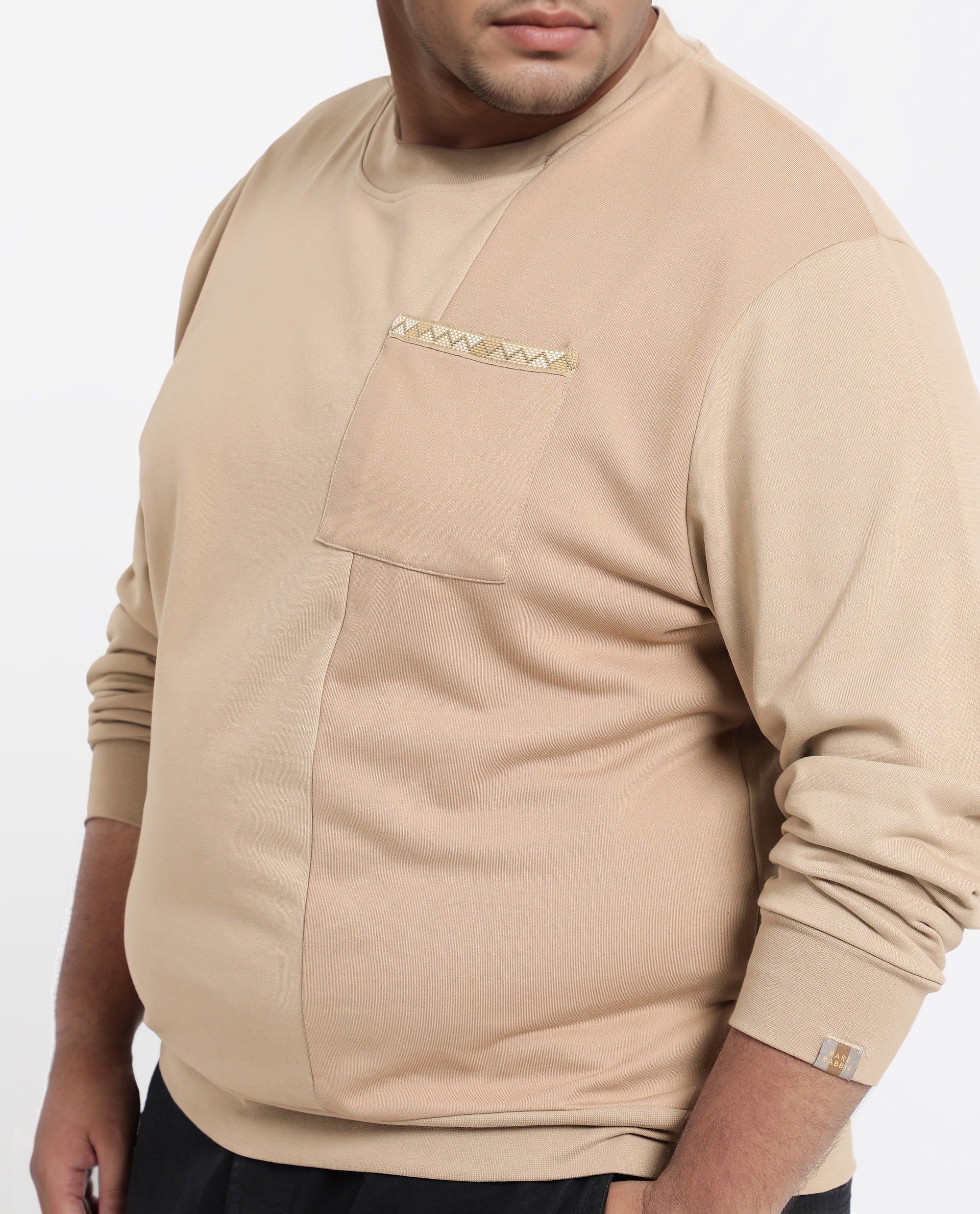 Rare Rabbit Men's Otese-L Beige Cotton Blend Cut And Sew Plus Size Full Sleeve Crew Neck Sweatshirt
