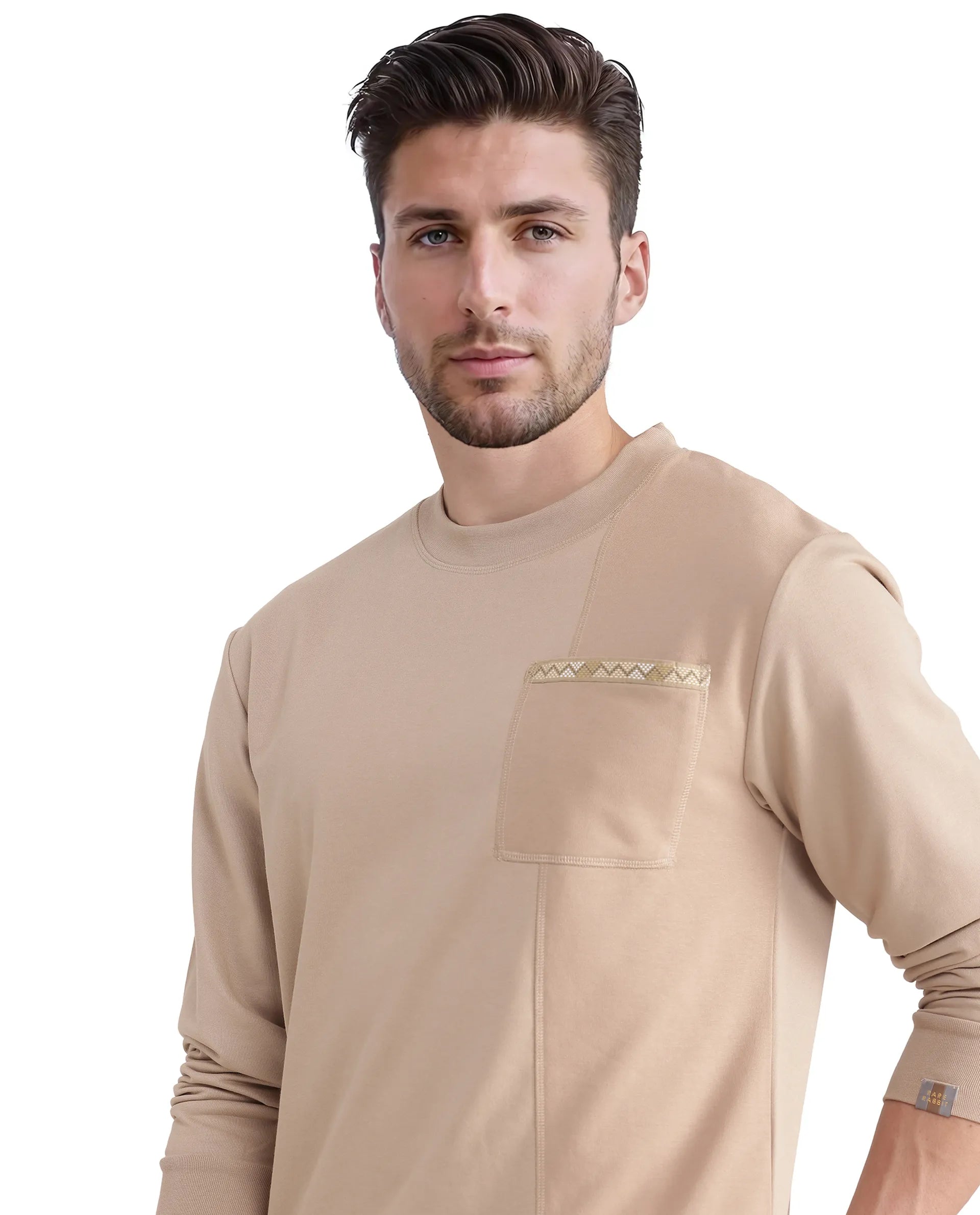 Rare Rabbit Men Otese Beige Cotton Polyester Fabric Full Sleeve Crew Neck Regular Fit Cut and Sew Sweatshirt