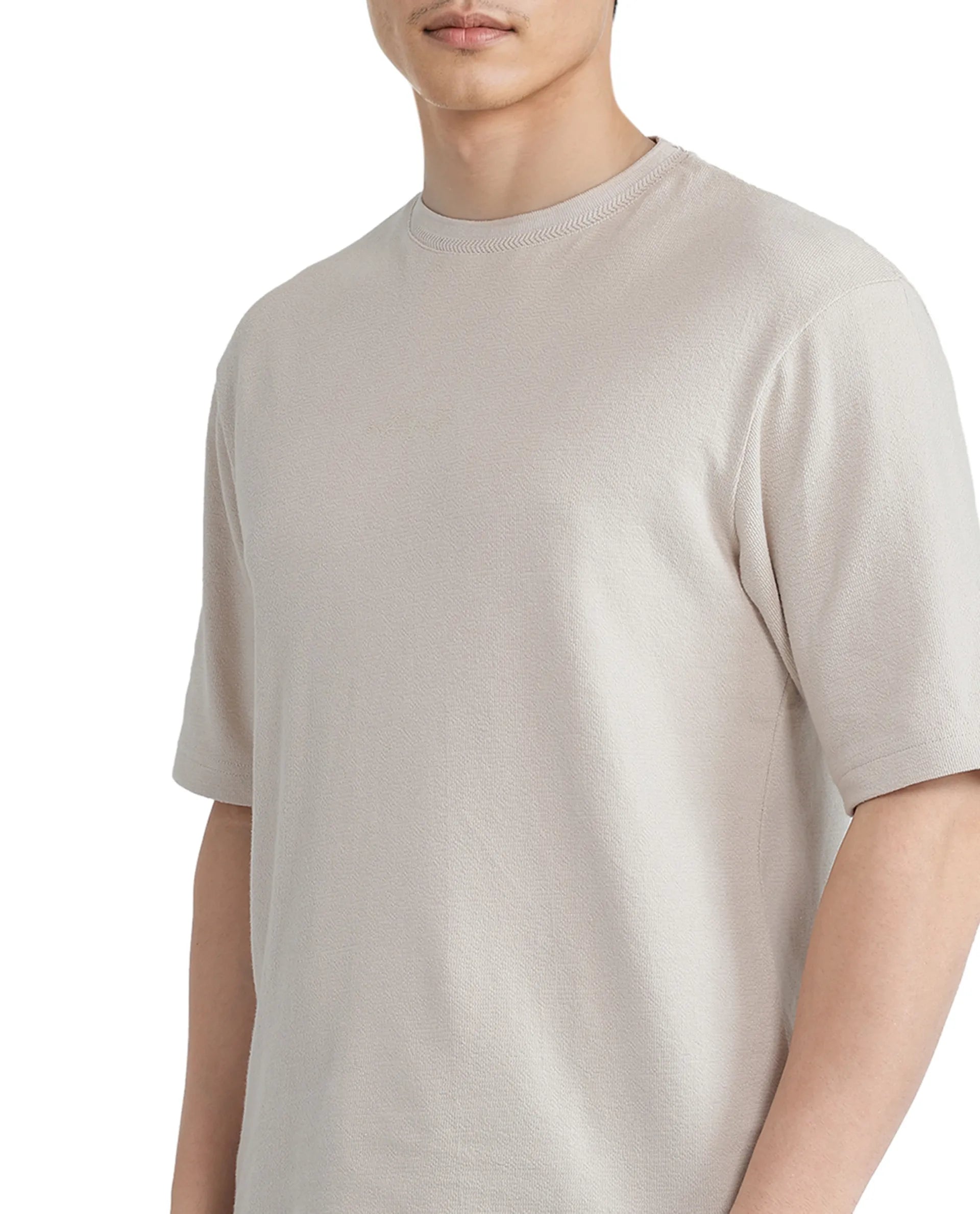 Rare Rabbit Men Oxi Beige Cotton Fabric Short Sleeve Crew Neck Textured HD Print T-Shirt