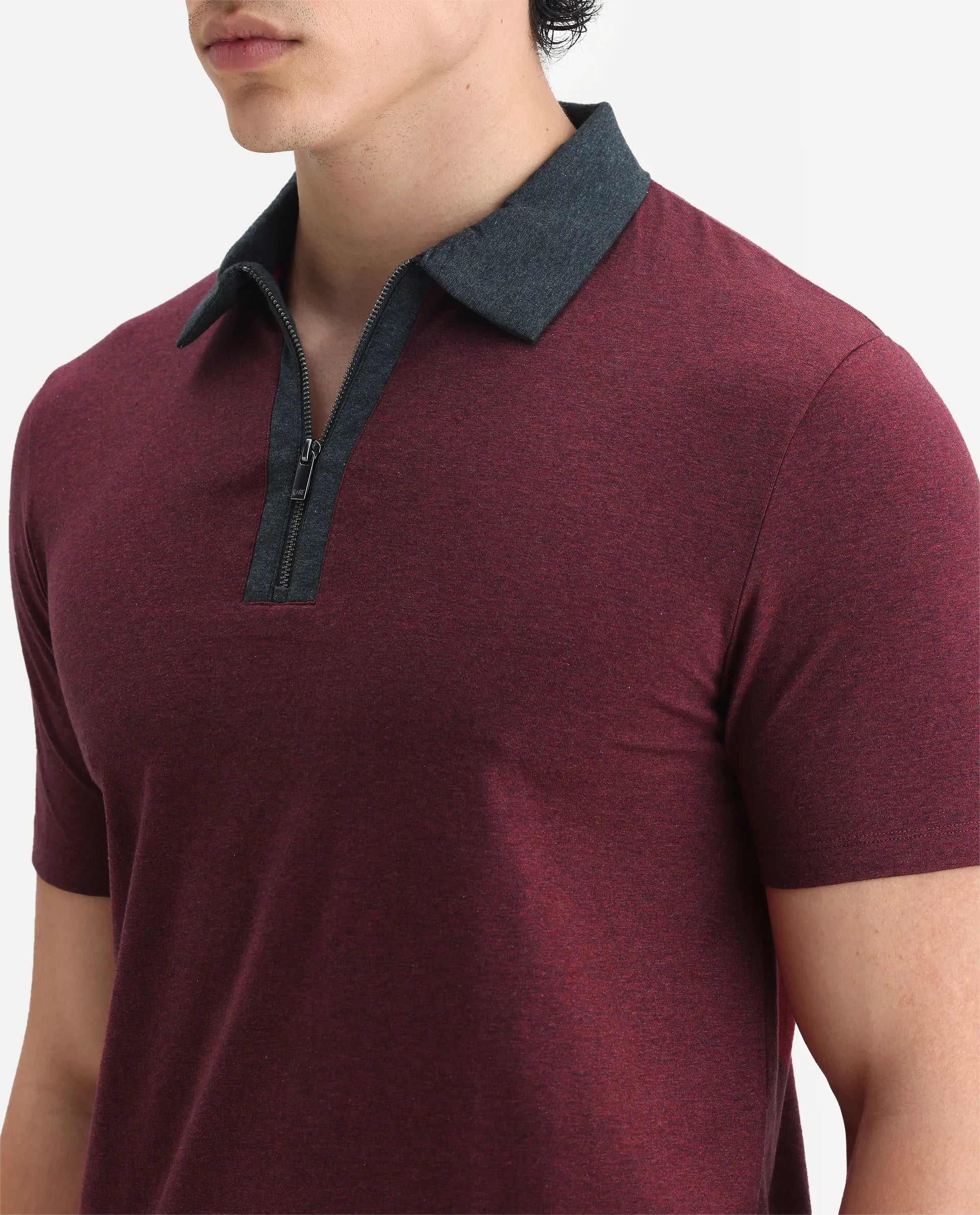 Rare Rabbit Men's Panel Dark Red Cotton Plain Regular Fit Half Sleeve Polo