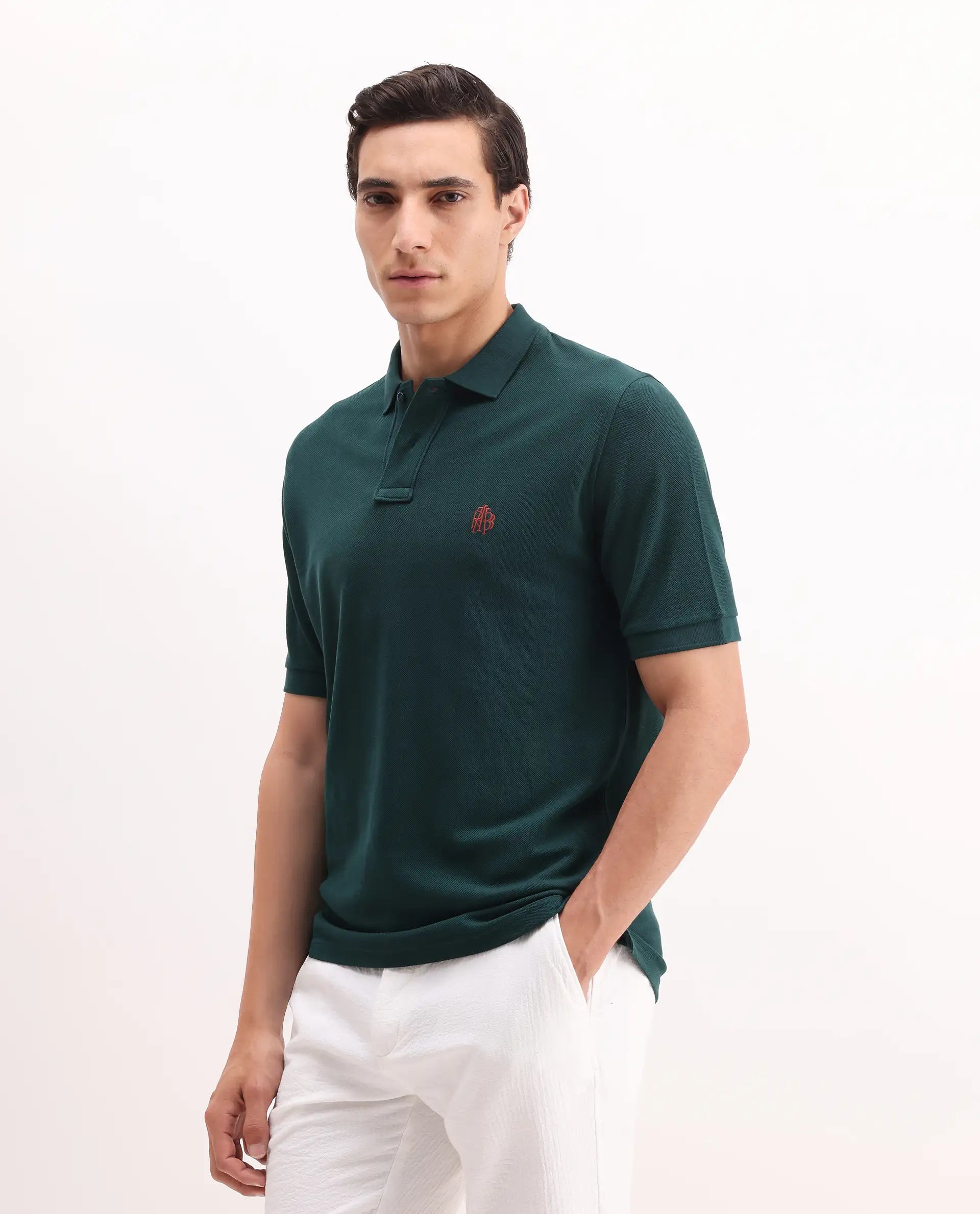 Rare Rabbit Men's Pare Green Cotton Embroidered Regular Fit Half Sleeve Polo