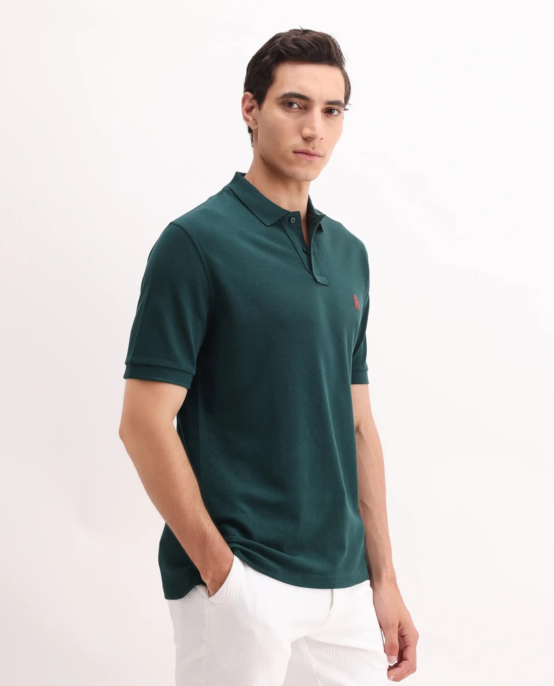 Rare Rabbit Men's Pare Green Cotton Embroidered Regular Fit Half Sleeve Polo