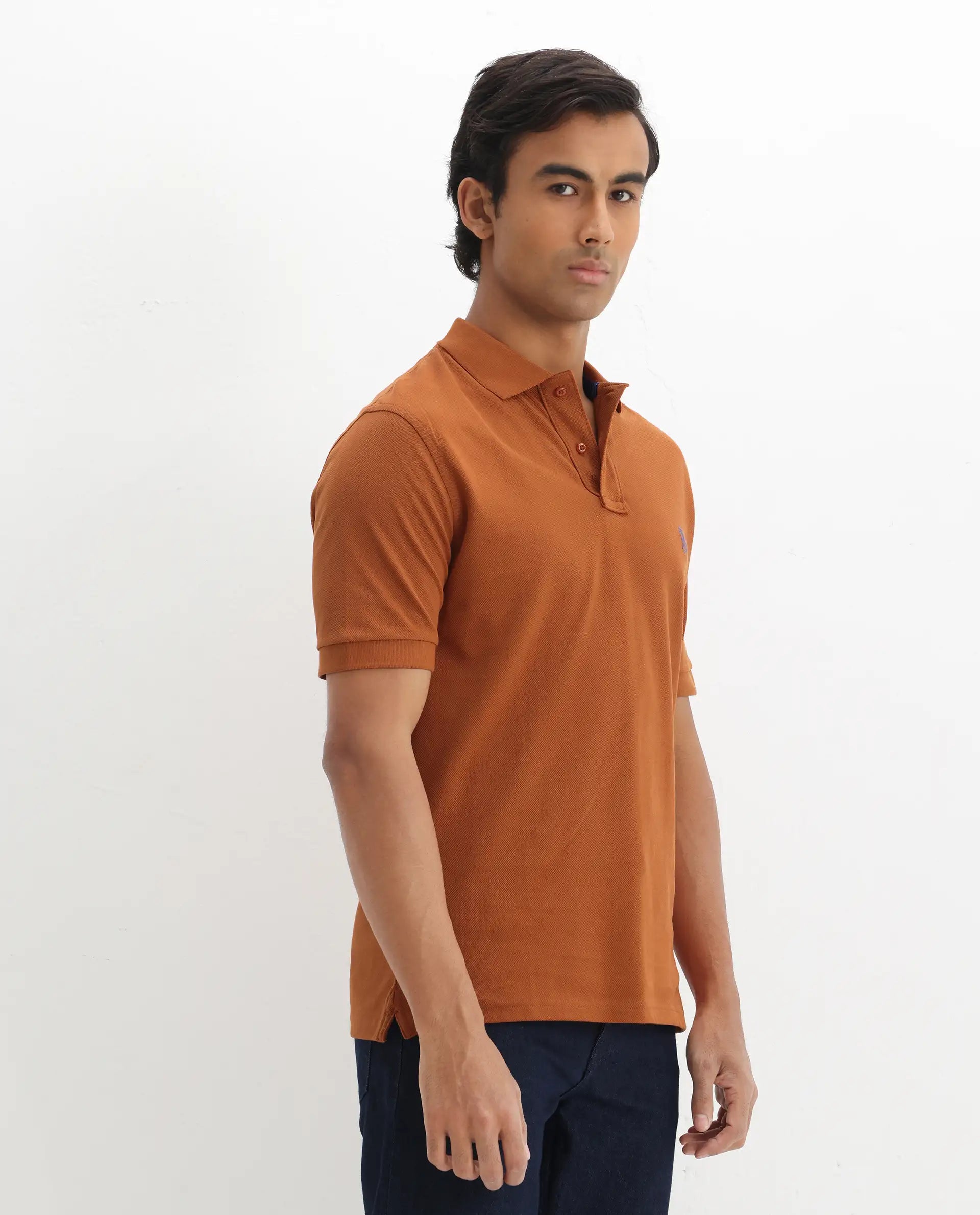 Rare Rabbit Men's Pareto Rust Cotton Embroidered Regular Fit Half Sleeve Polo