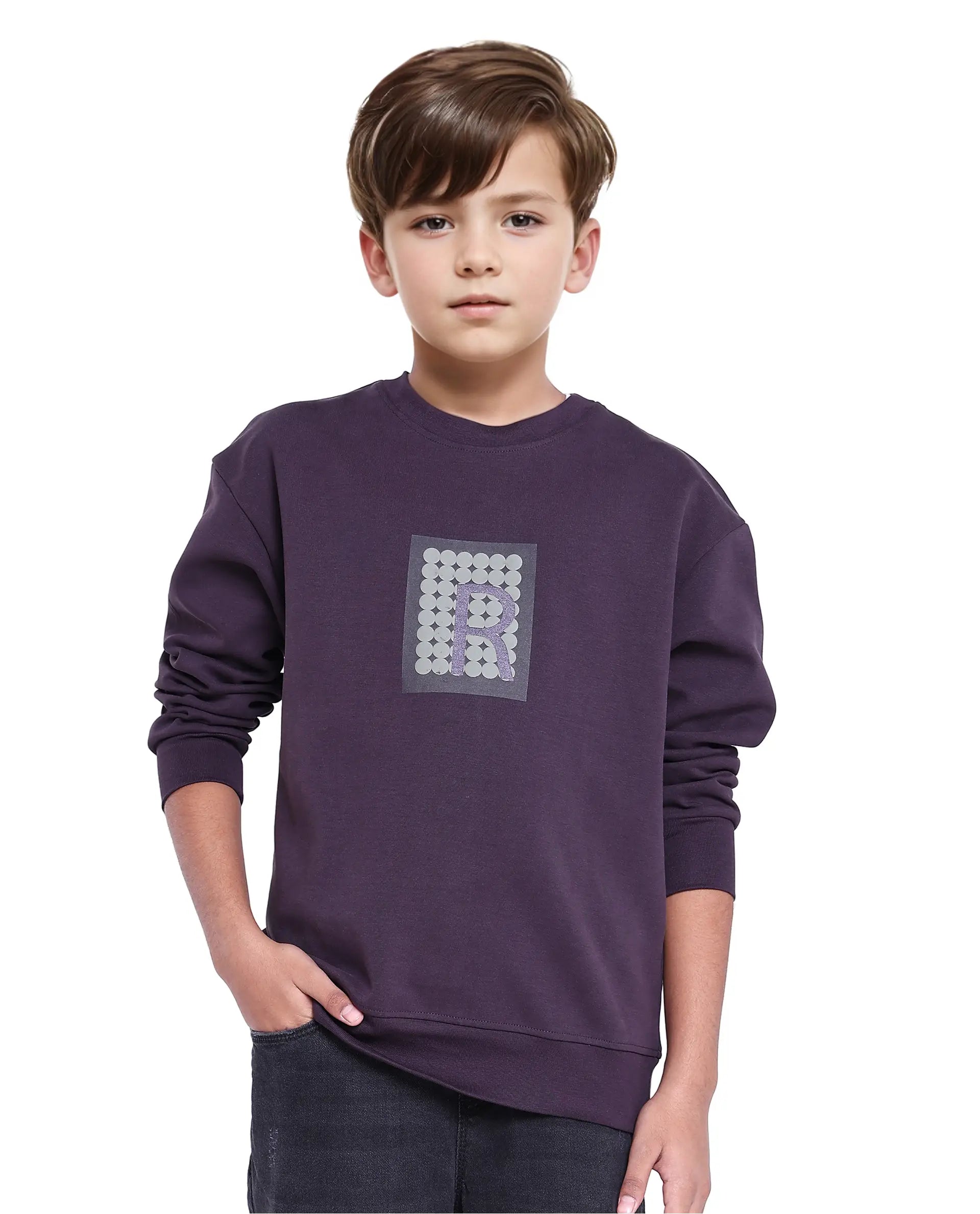 Rare Ones Kids Poks Dark Purple Cotton Full Sleeve Hd Print And Discharge Print Sweatshirt