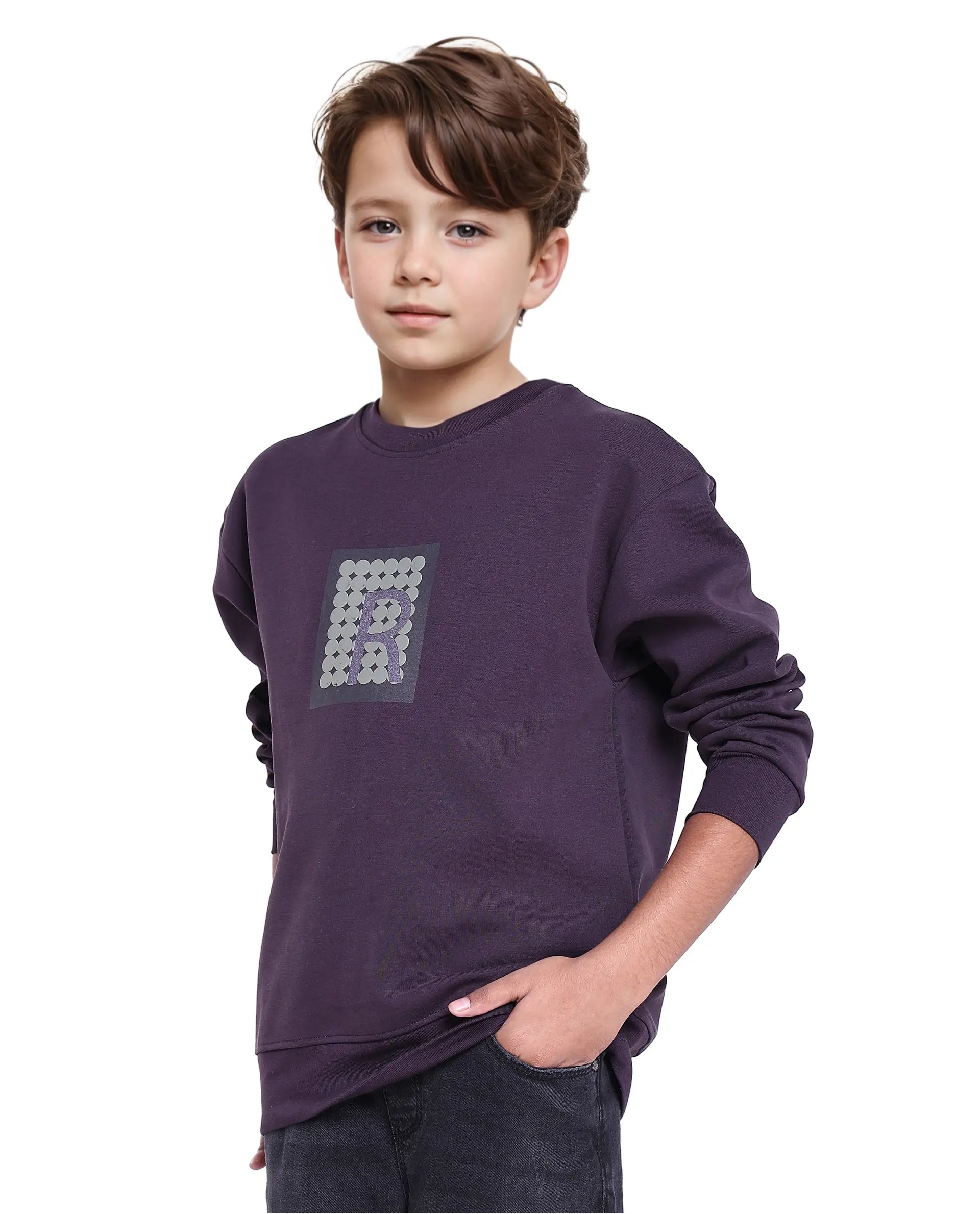 Rare Ones Kids Poks Dark Purple Cotton Full Sleeve Hd Print And Discharge Print Sweatshirt