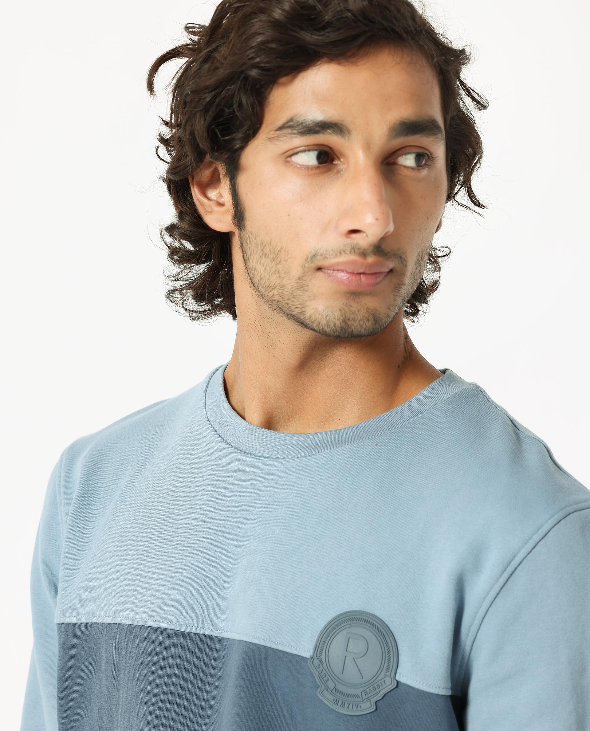 Rare Rabbit Men's Privett Blue Cotton Polyester Fabric Full Sleeves Cut And Sew Colorblocked Sweatshirt