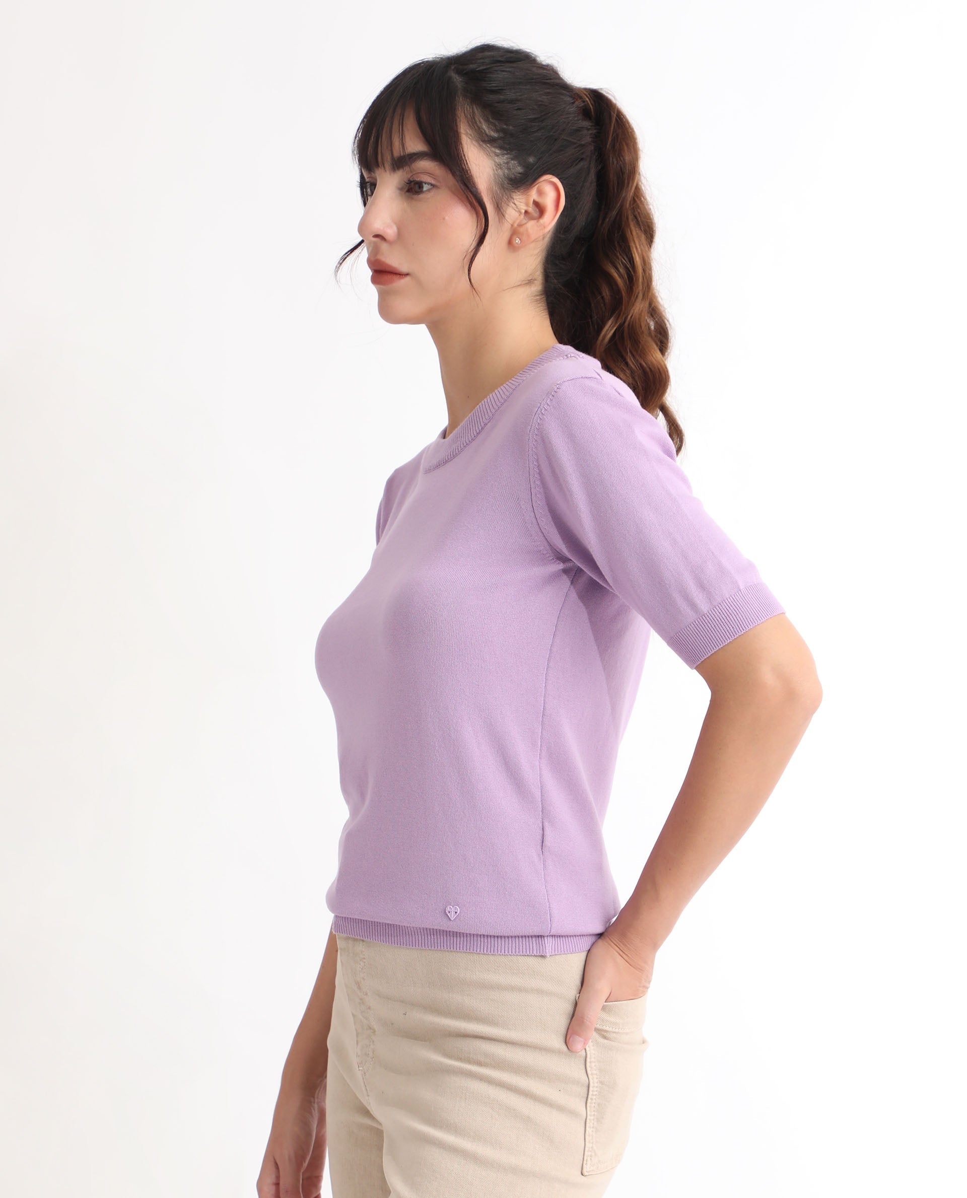 Rareism Women Rohrdo Pastel Purple Viscose Fabric Short Sleeves Round Neck Regular Fit Plain Sweater