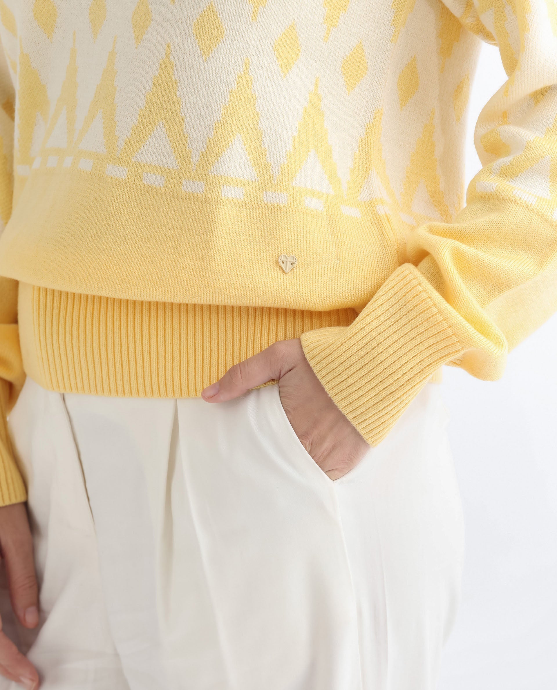 Rareism Women Ronnie Yellow Acrylic Fabric Full Sleeves Relaxed Fit Color Blocked V-Neck Sweater