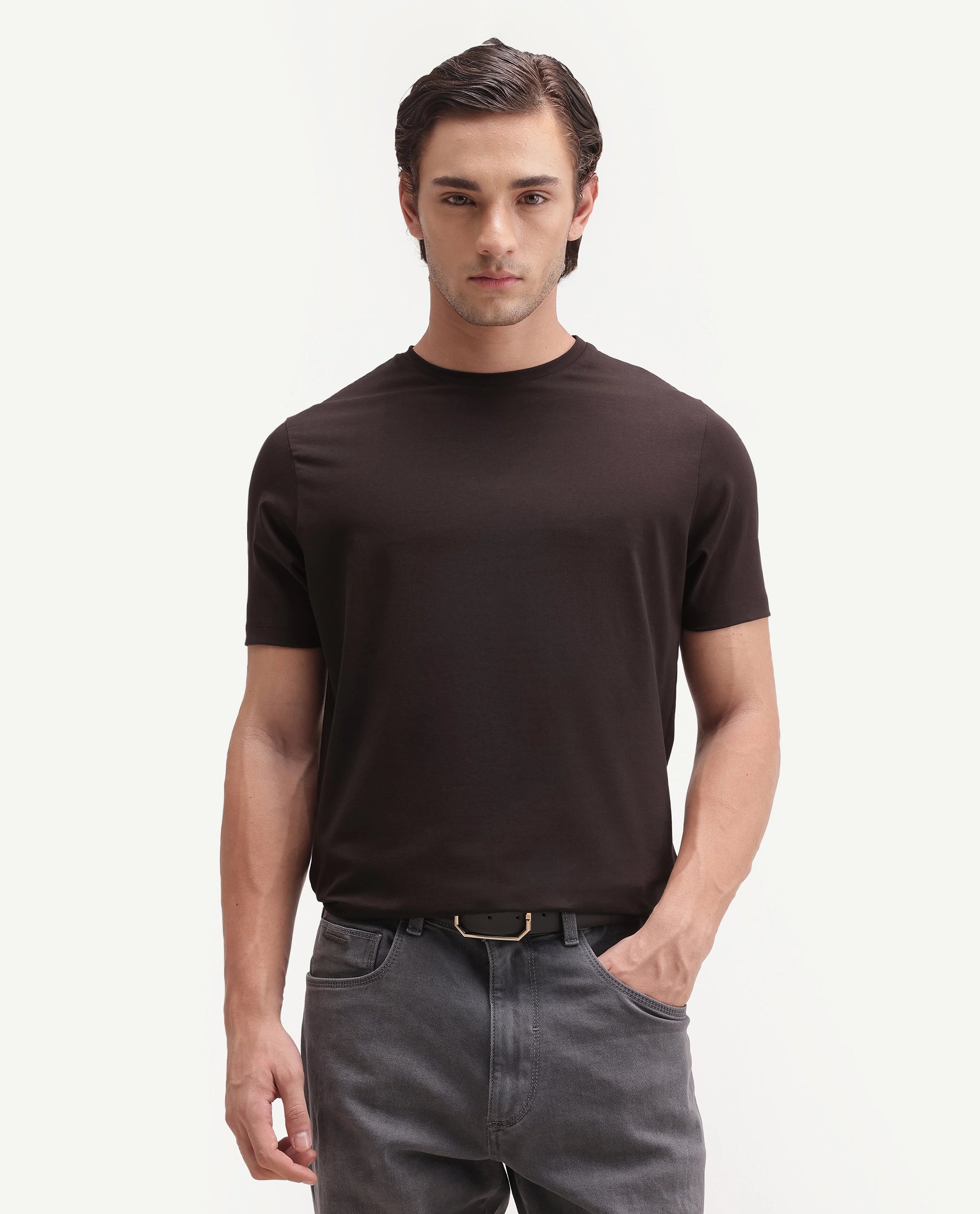 Rare Rabbit Men's Basic Rr-Corp-Arve Dark Brown Cotton Crew Neck Regular Plain T-Shirt