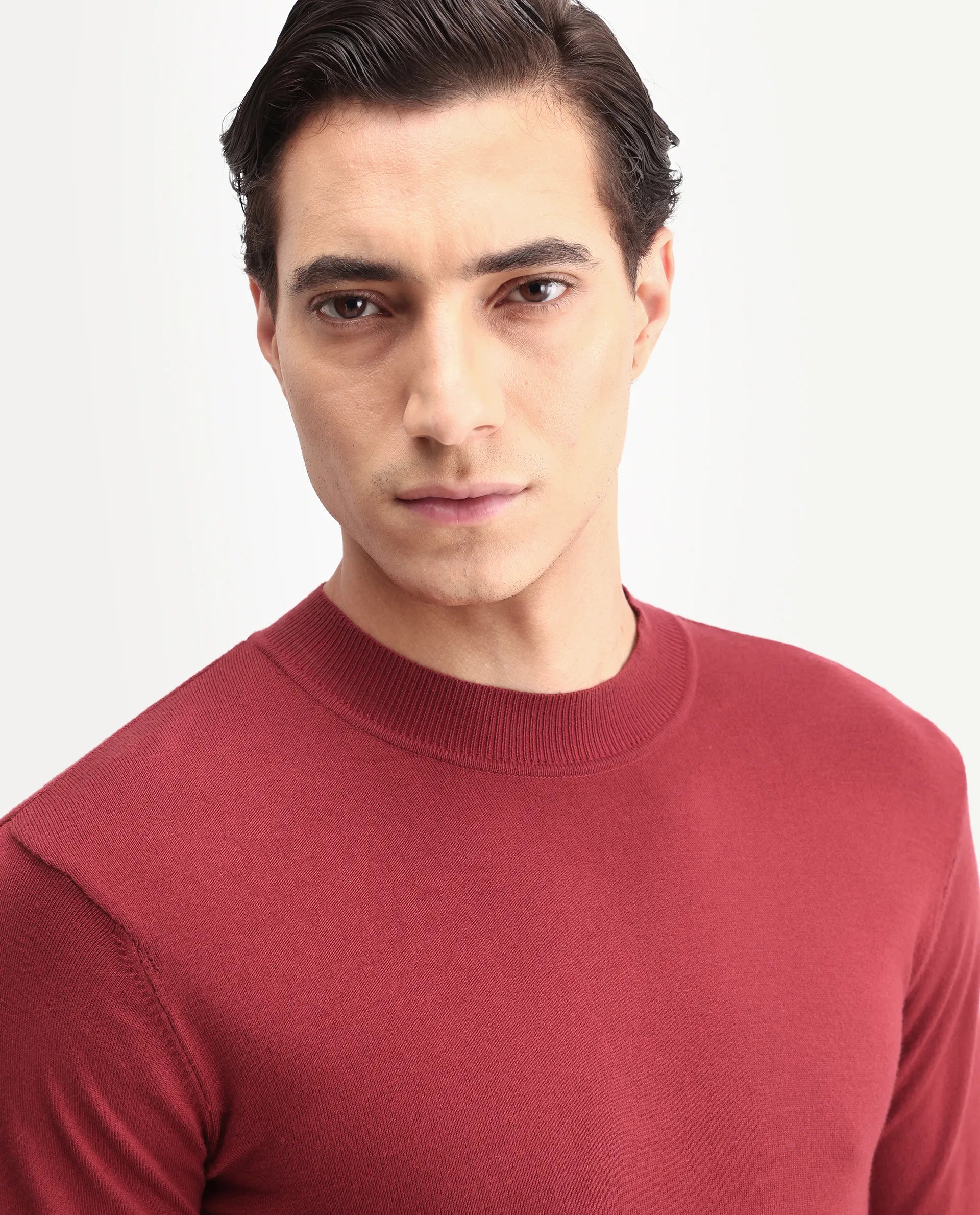 Rare Rabbit Men's Alfot Red Viscose Plain Regular Fit Full Sleeve High Neck Sweater