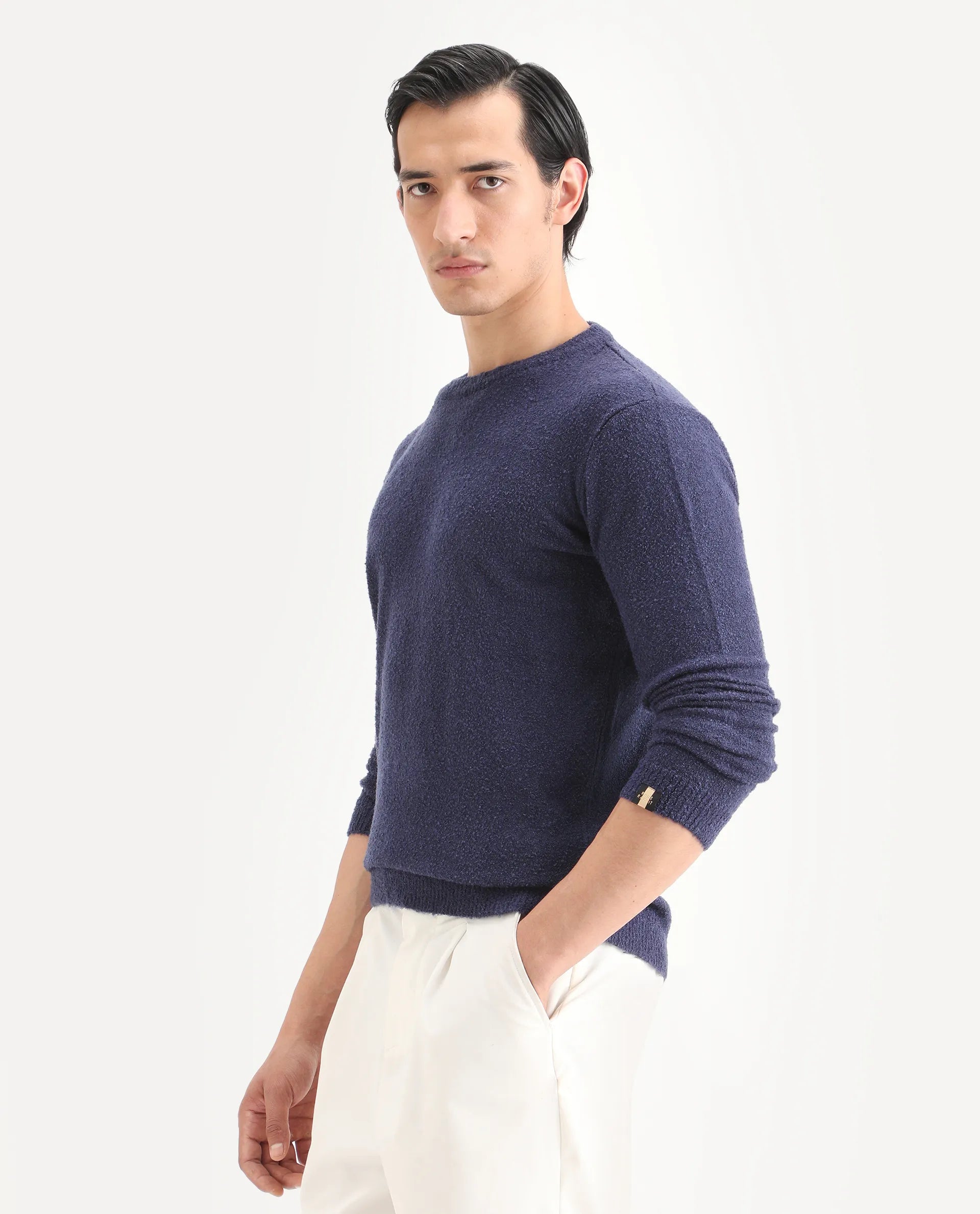 Rare Rabbit Men's Boule Purple Acrylic Blend Plain Regular Fit Full Sleeve Crew Neck Sweater