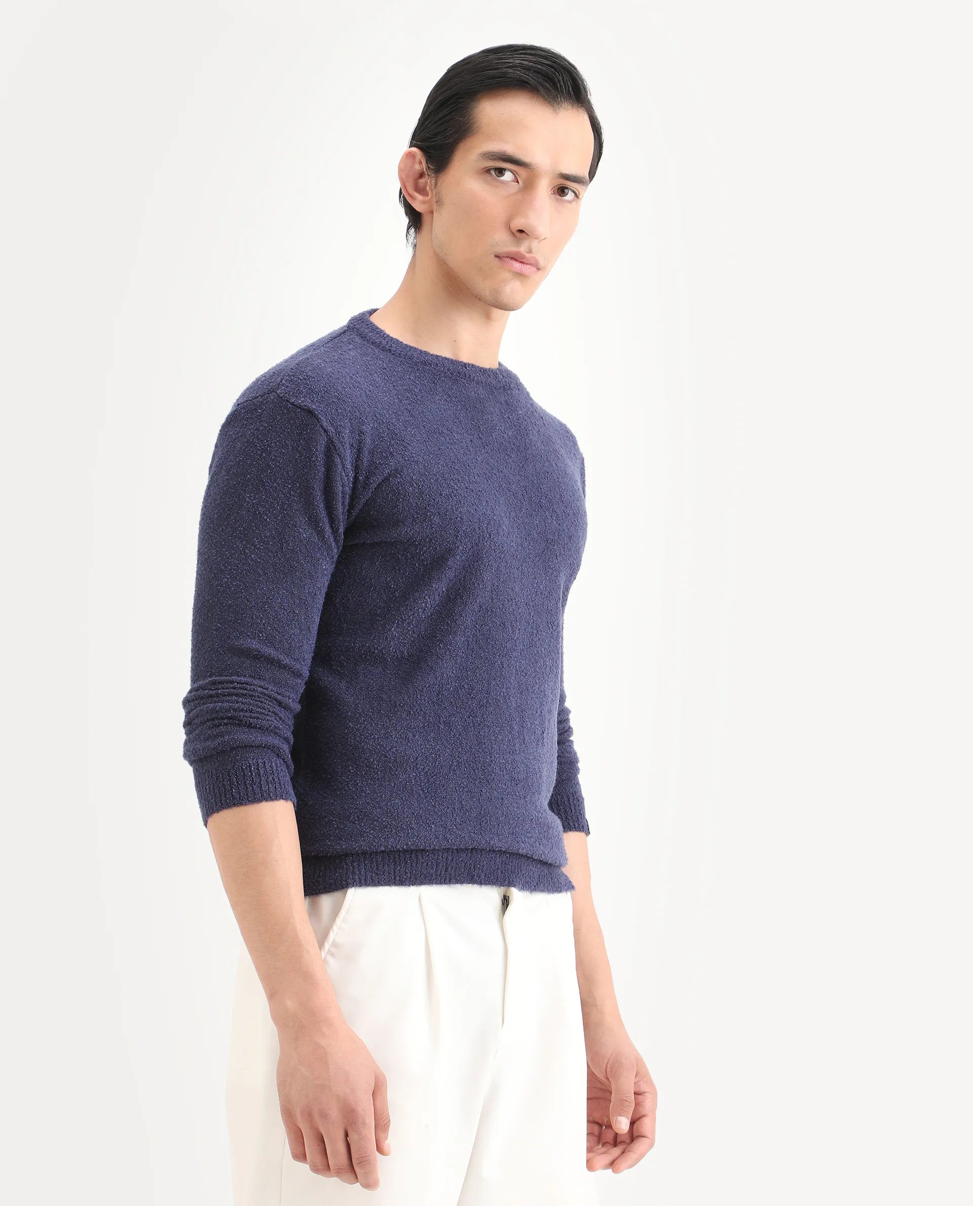 Rare Rabbit Men's Boule Purple Acrylic Blend Plain Regular Fit Full Sleeve Crew Neck Sweater