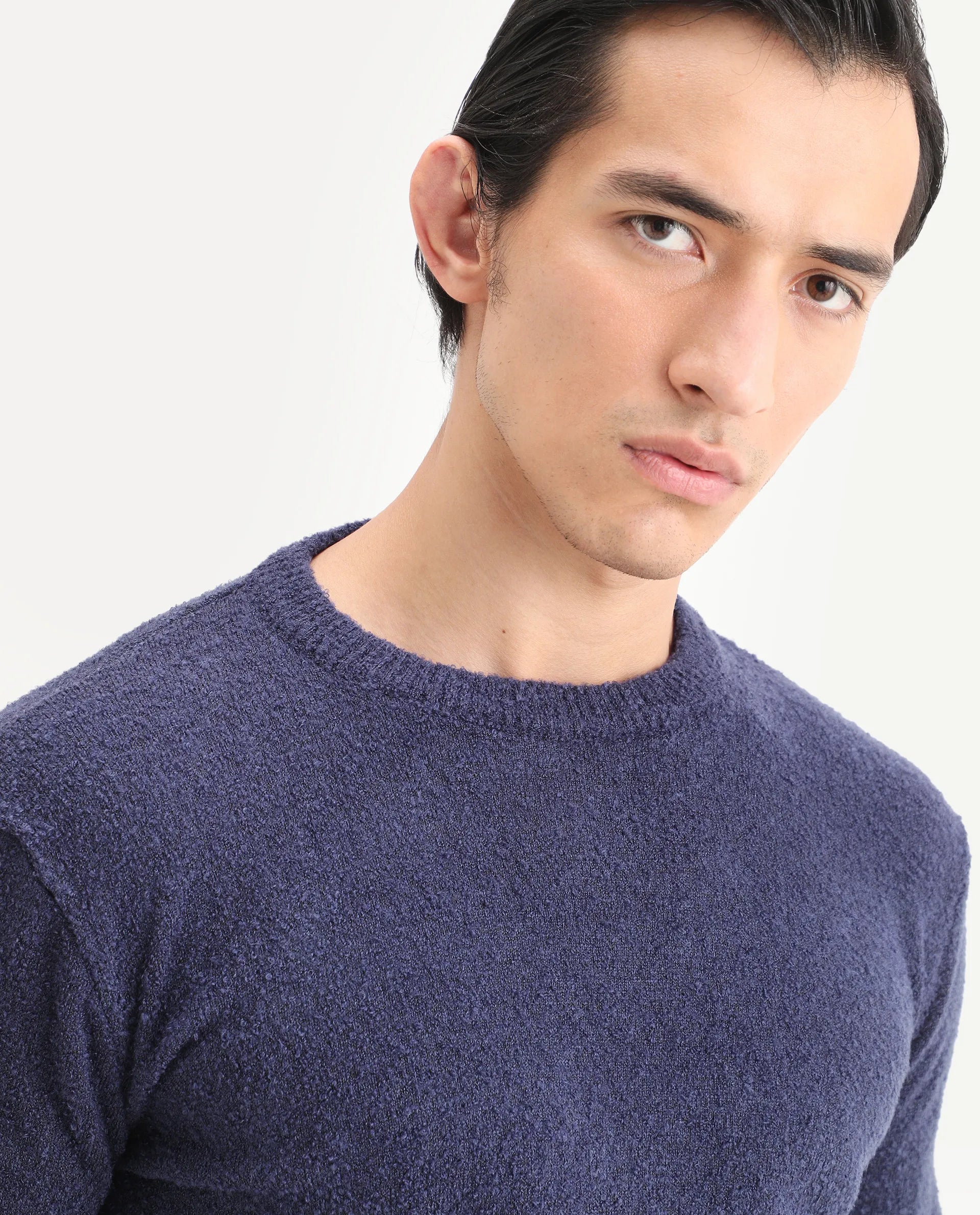 Rare Rabbit Men's Boule Purple Acrylic Blend Plain Regular Fit Full Sleeve Crew Neck Sweater