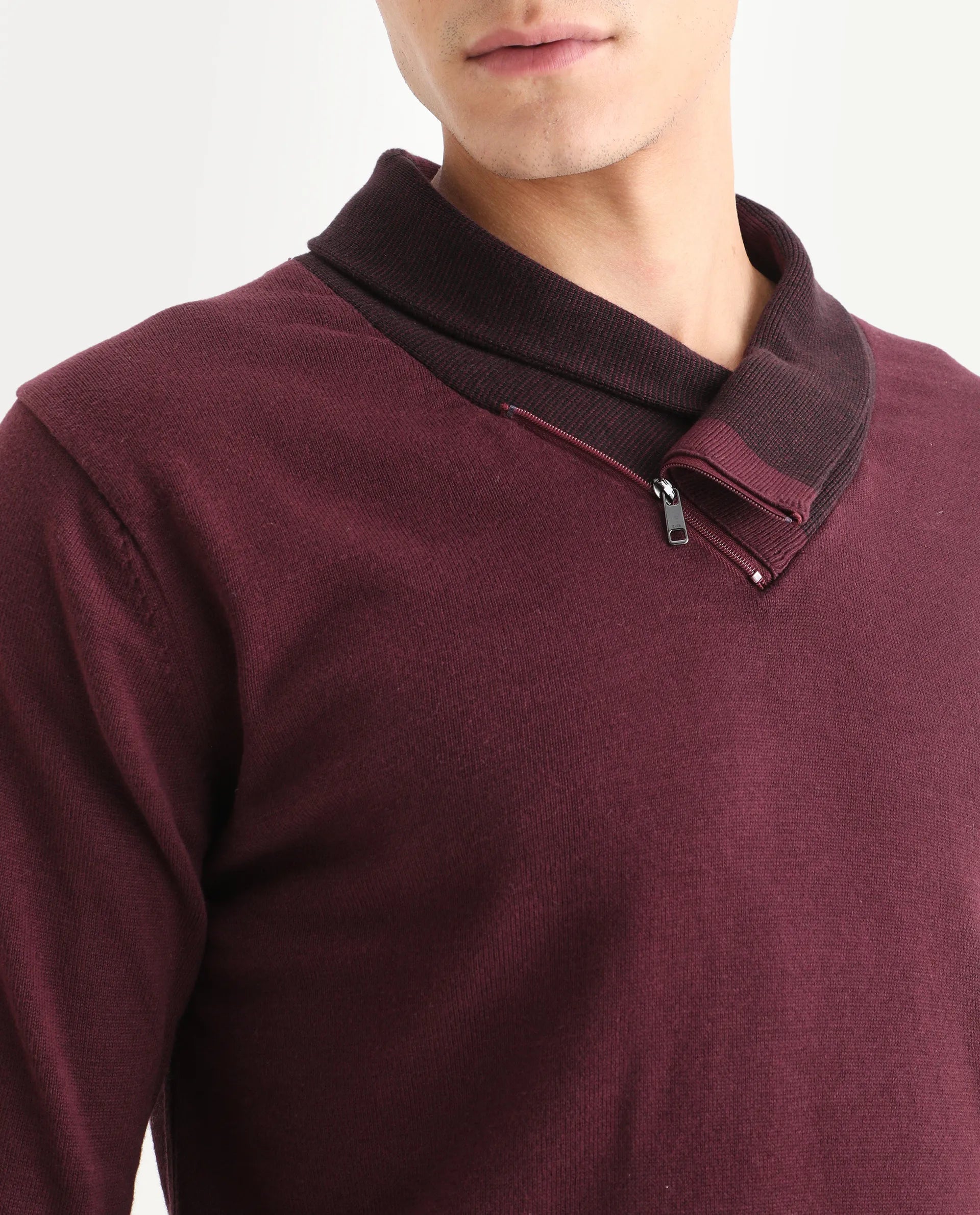 Rare Rabbit Men's Lyzo - Maroon Cotton Plain Regular Fit Full Sleeve Cowl Neck Sweater