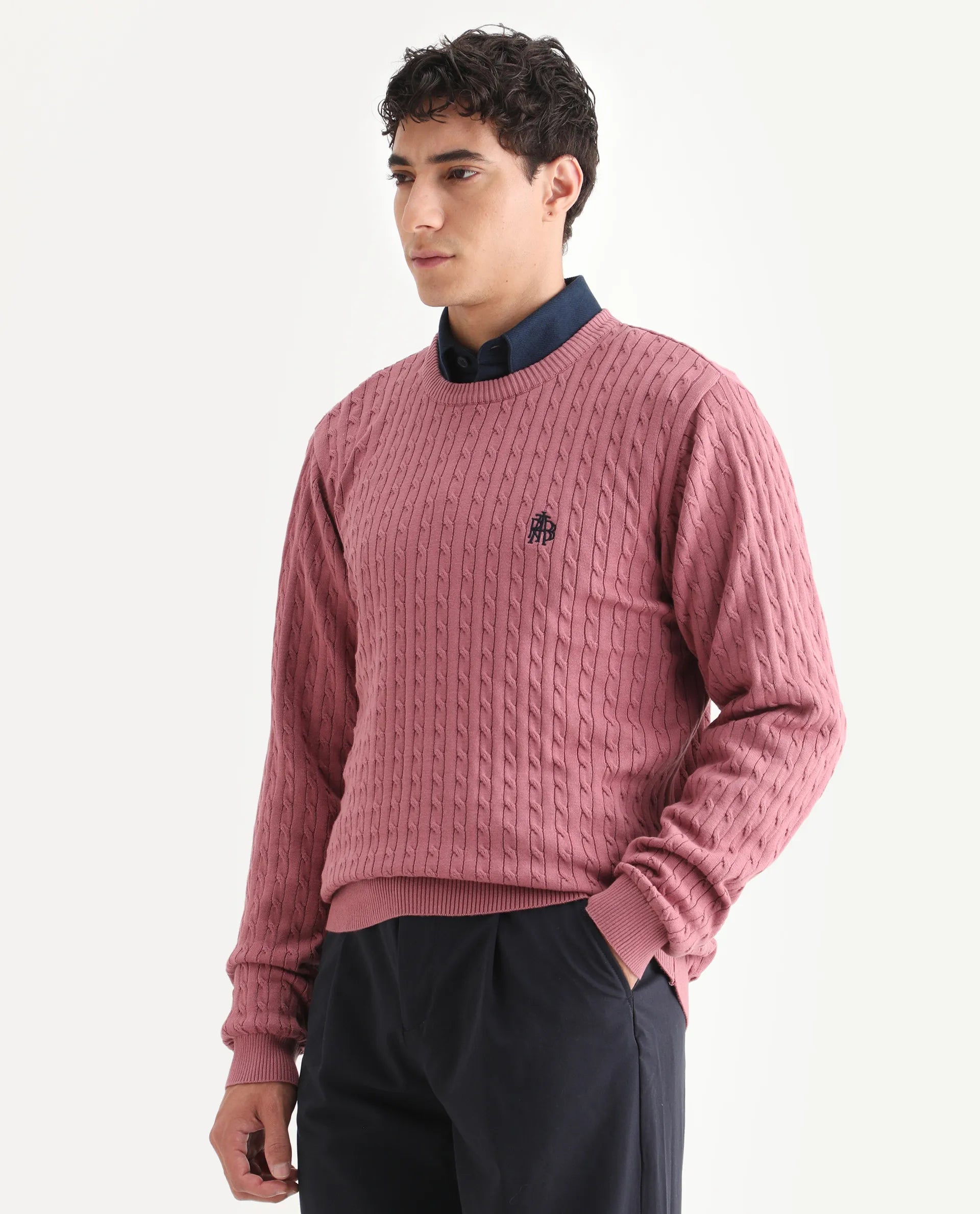 Rare Rabbit Men's Plain Regular Fit Full Sleeve Crew Neck Sweater