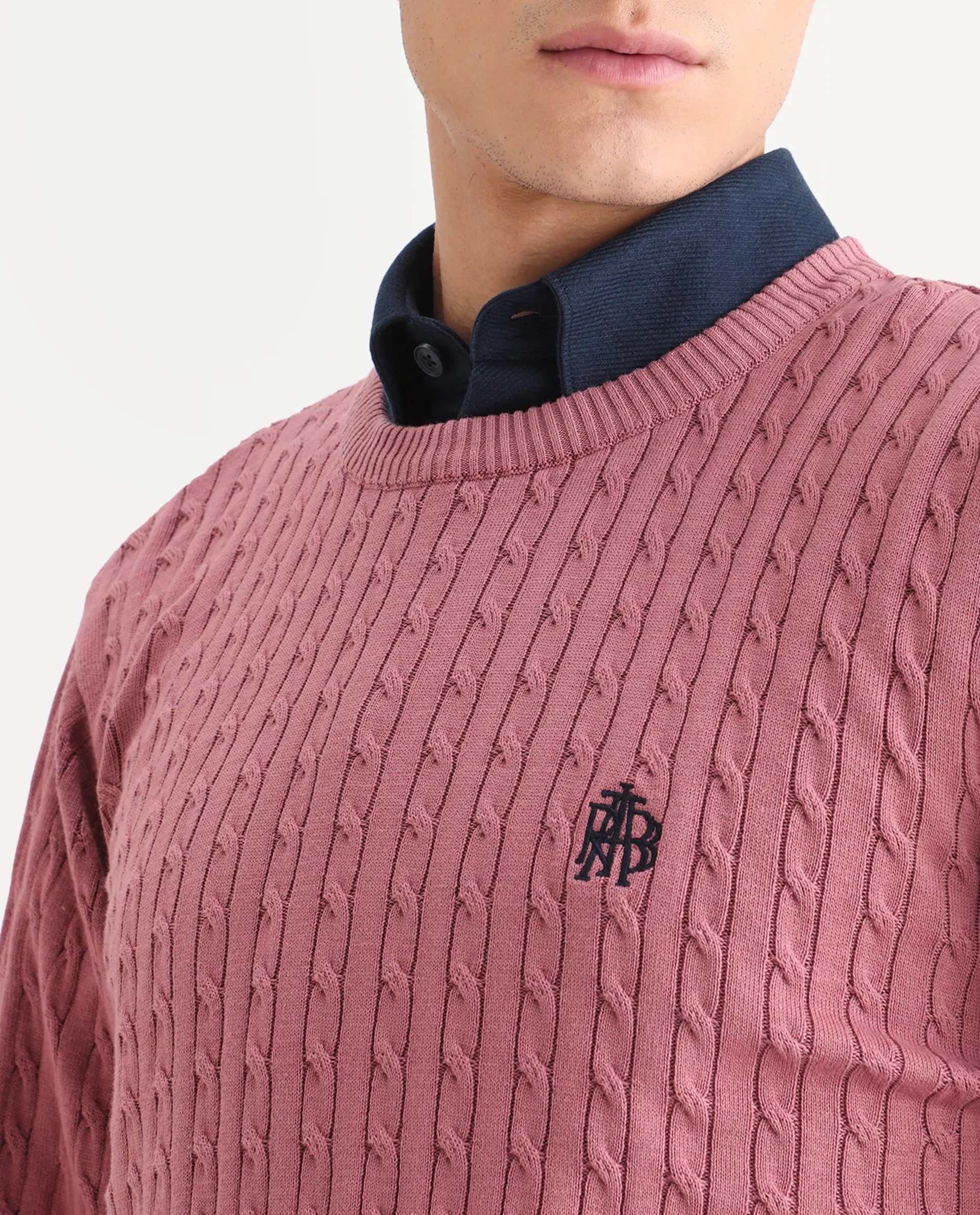 Rare Rabbit Men's Plain Regular Fit Full Sleeve Crew Neck Sweater