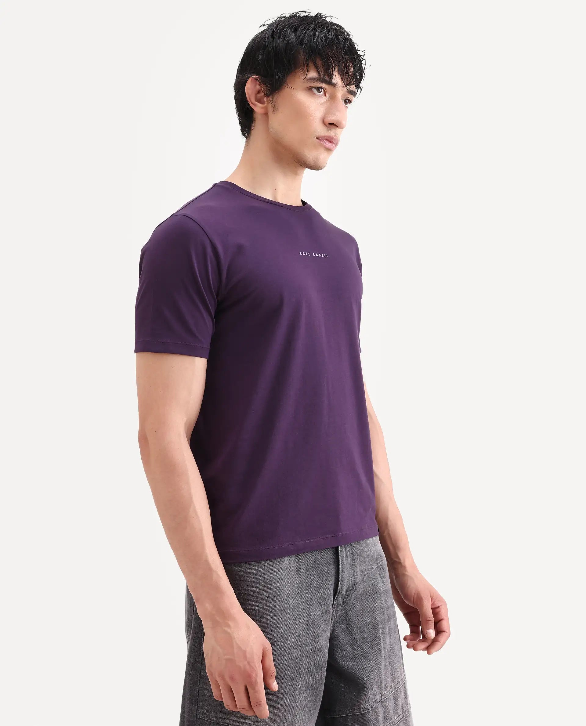Rare Rabbit Men's Rabbit-S26 Dark Purple Cotton Blend Fabric Half Sleeve Crew Neck Regular Fit Plain T-Shirt
