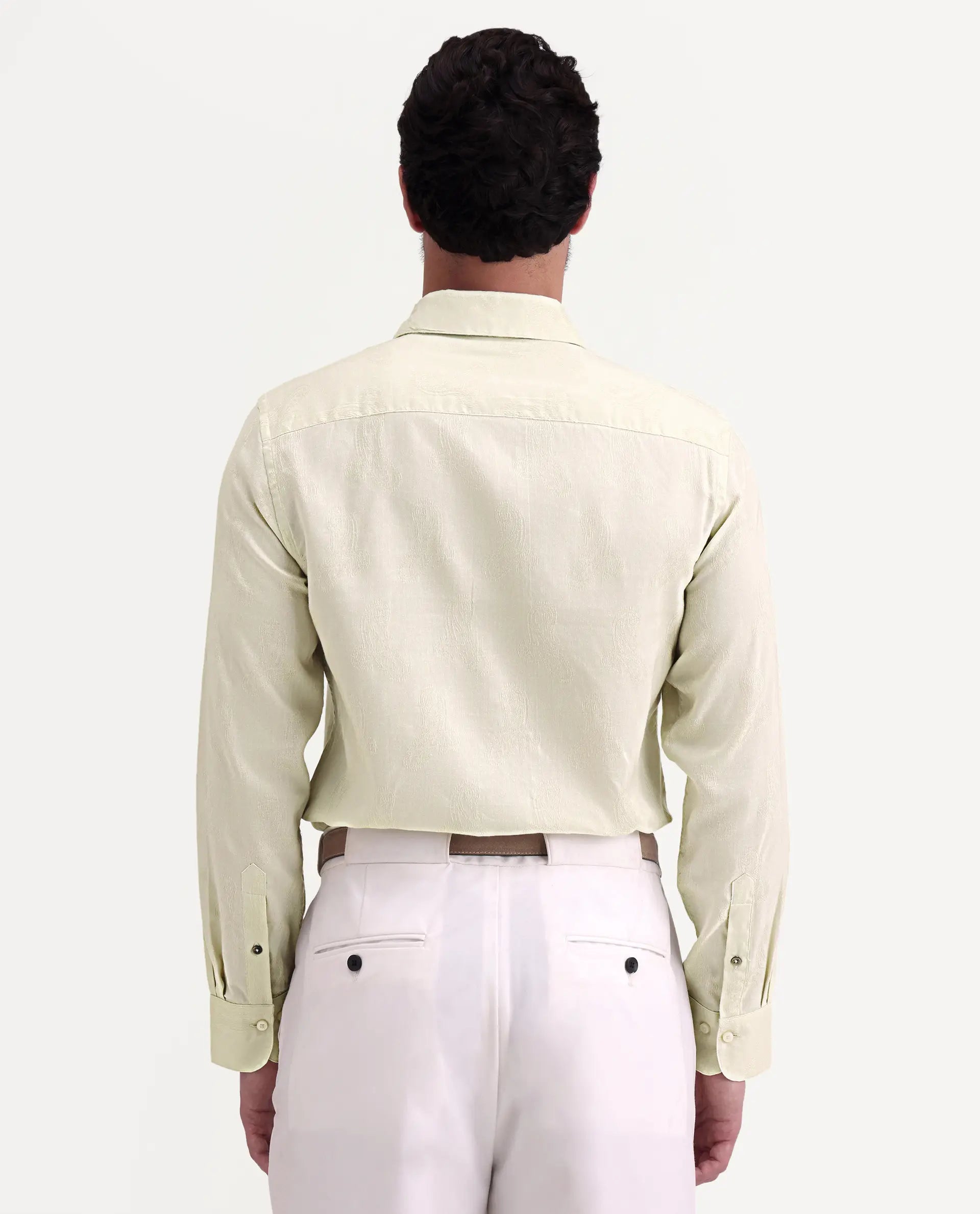 Rare Rabbit Men's Alvo Pastel Green Viscose Blend Fabric Full Sleeve Spread Collar Regular Fit Jacquard Shirt