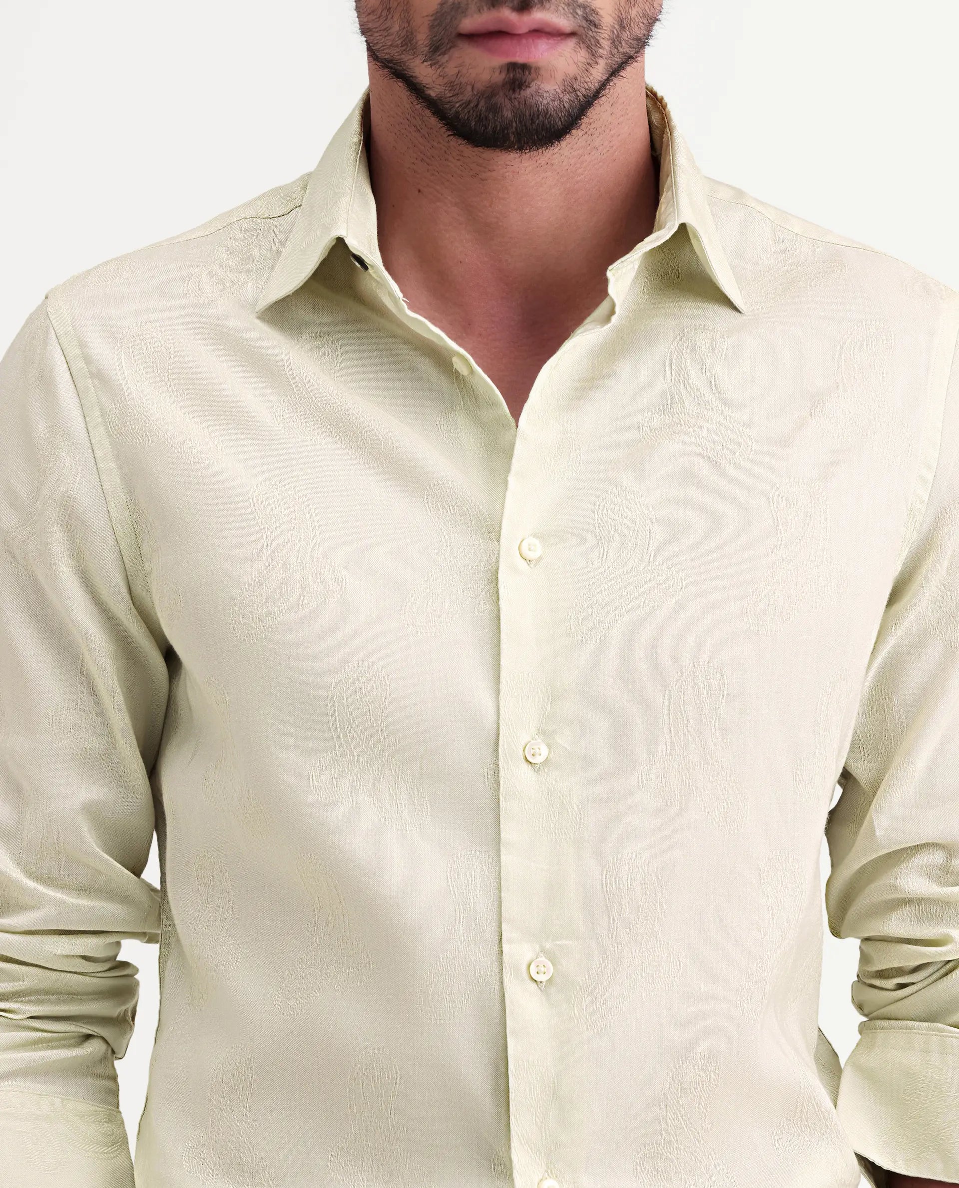 Rare Rabbit Men's Alvo Pastel Green Viscose Blend Fabric Full Sleeve Spread Collar Regular Fit Jacquard Shirt
