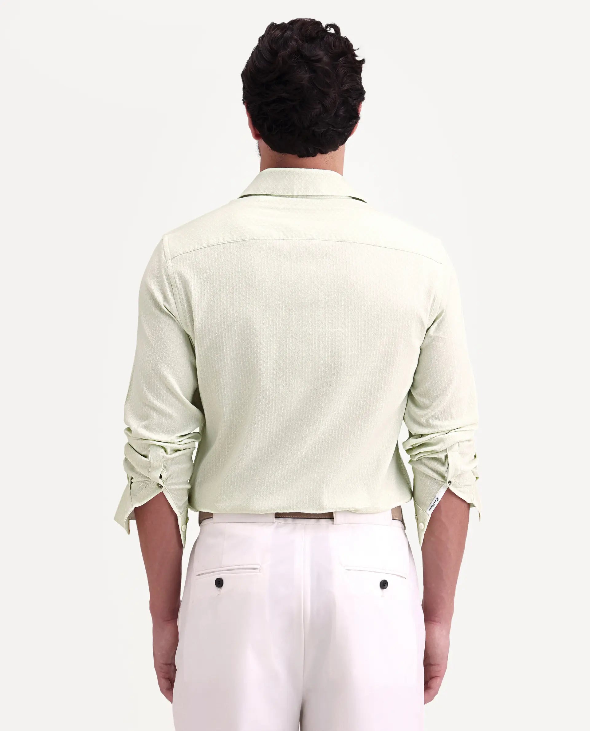 Rare Rabbit Men's Gleny-26 Pastel Green Cotton Blend Fabric Full Sleeve Collared Regular Fit Textured Shirt